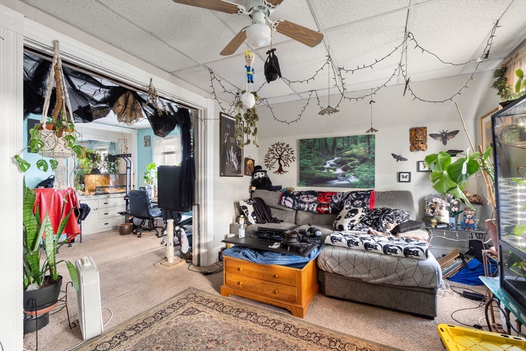 172 Earle St