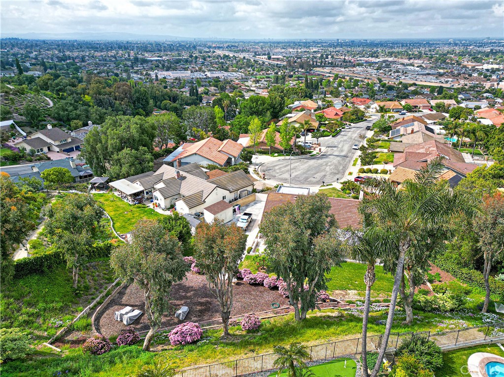 2443 E Orangeview Lane