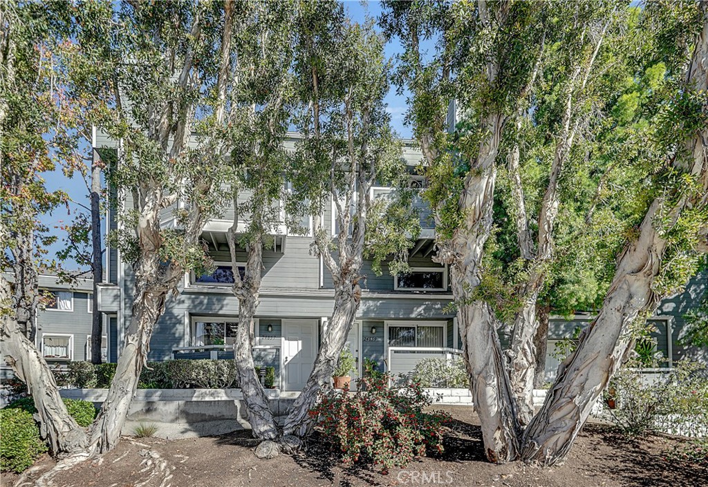 24859 Nueva Vista Drive 15