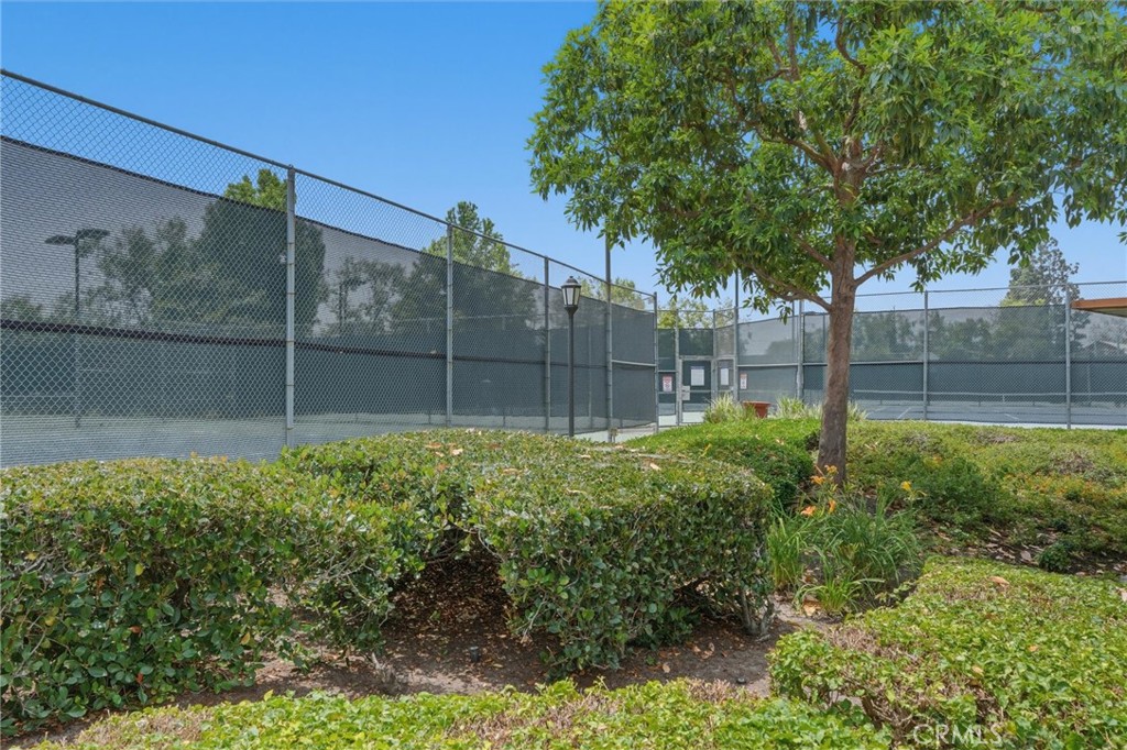 220 Lemon Grove