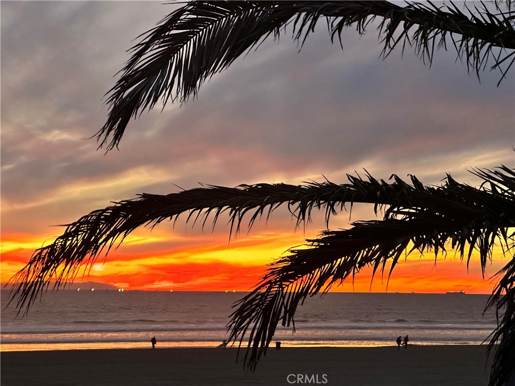 711 Pacific Coast Highway 315