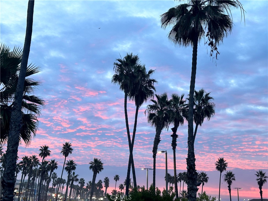 711 Pacific Coast Highway 315