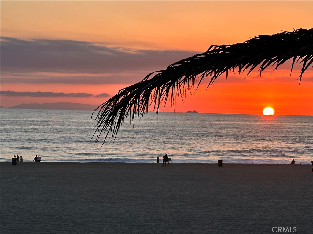 711 Pacific Coast Highway 315