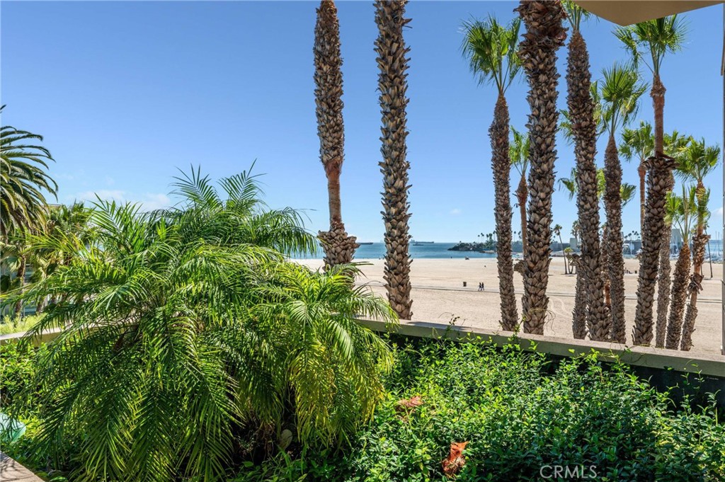 850 E Ocean Boulevard 301