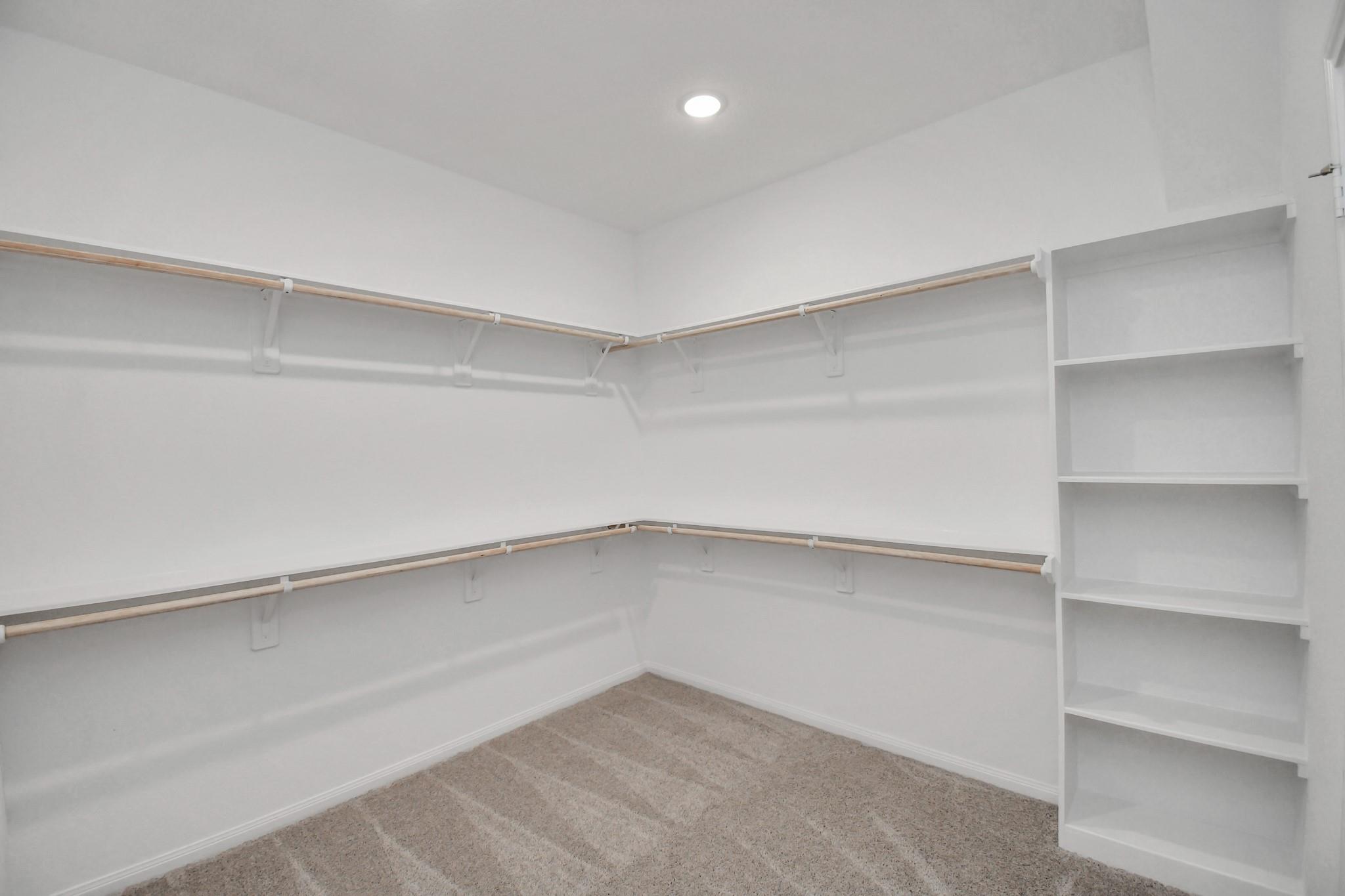 25115 Midnight Willow Drive