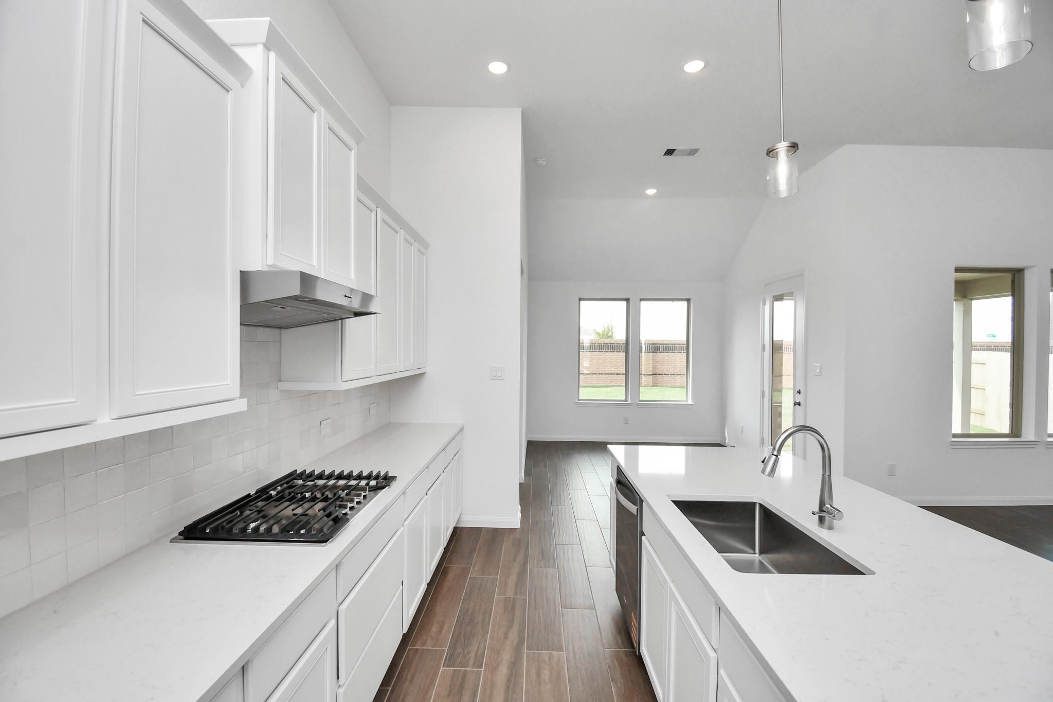 25115 Midnight Willow Drive