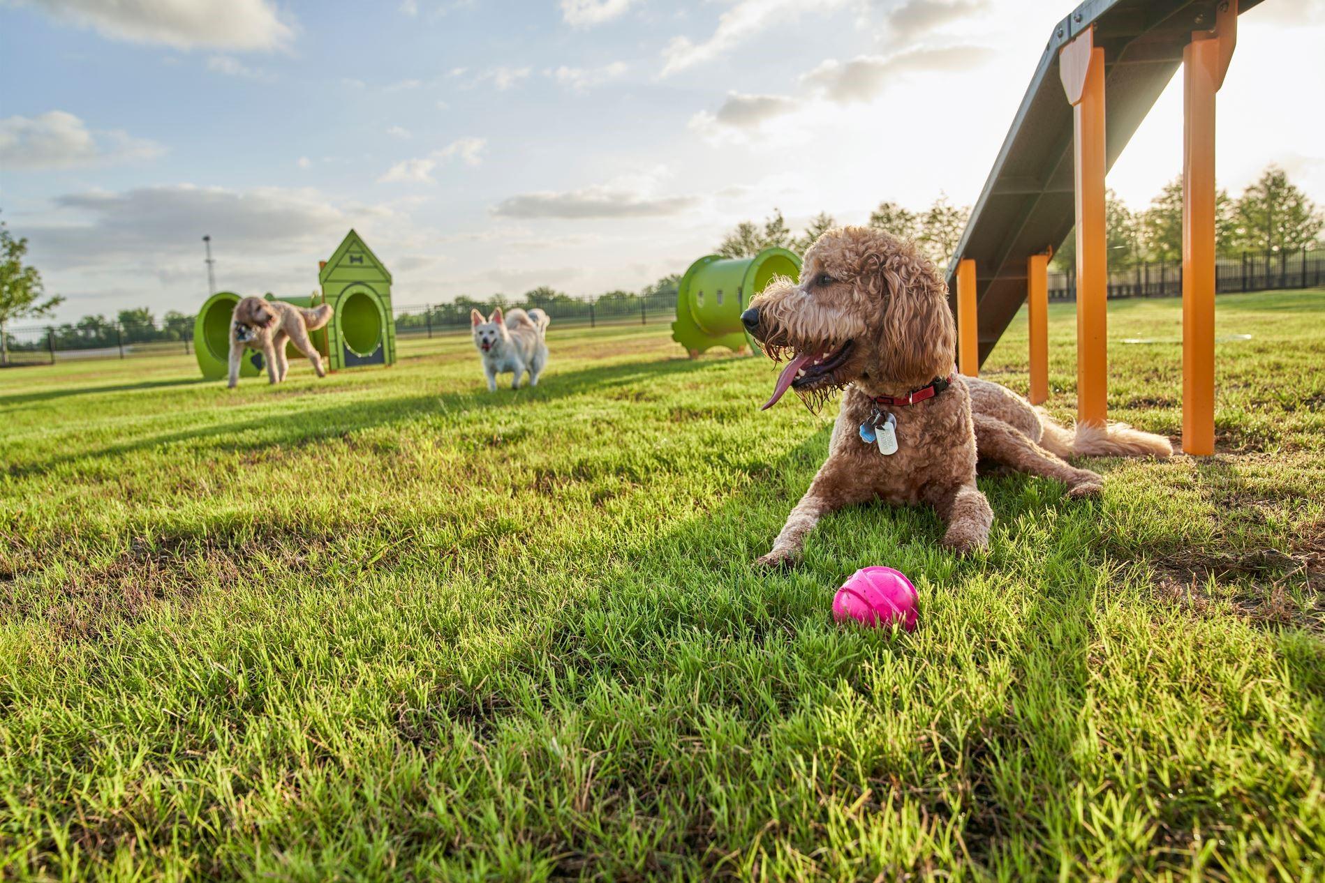 24118 Prairie Crabapple Court