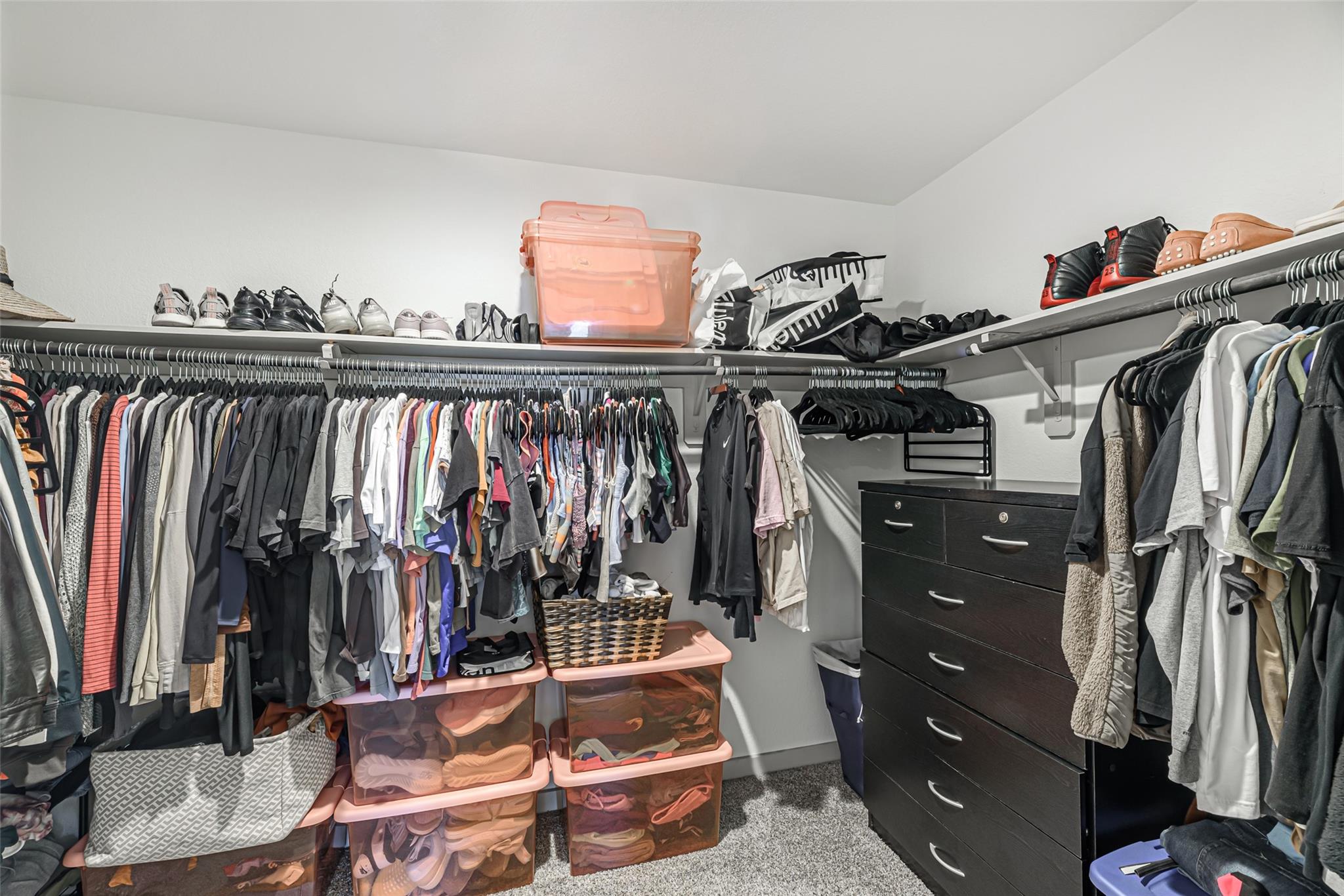 246 Dusty Bridle Lane