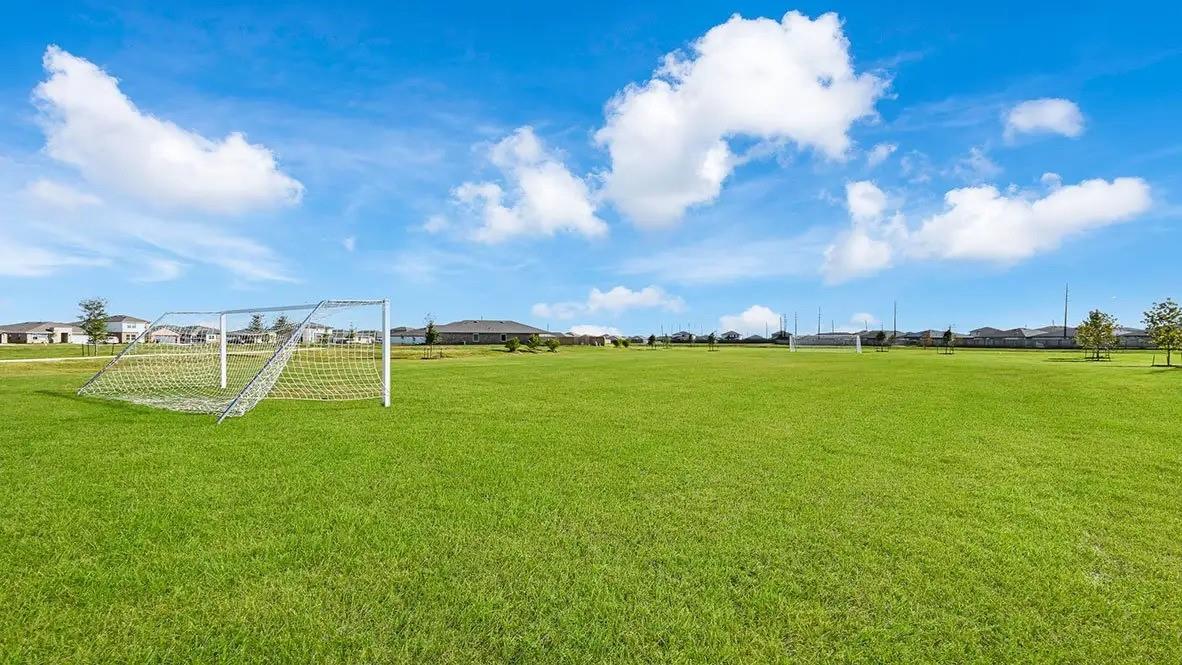 246 Dusty Bridle Lane