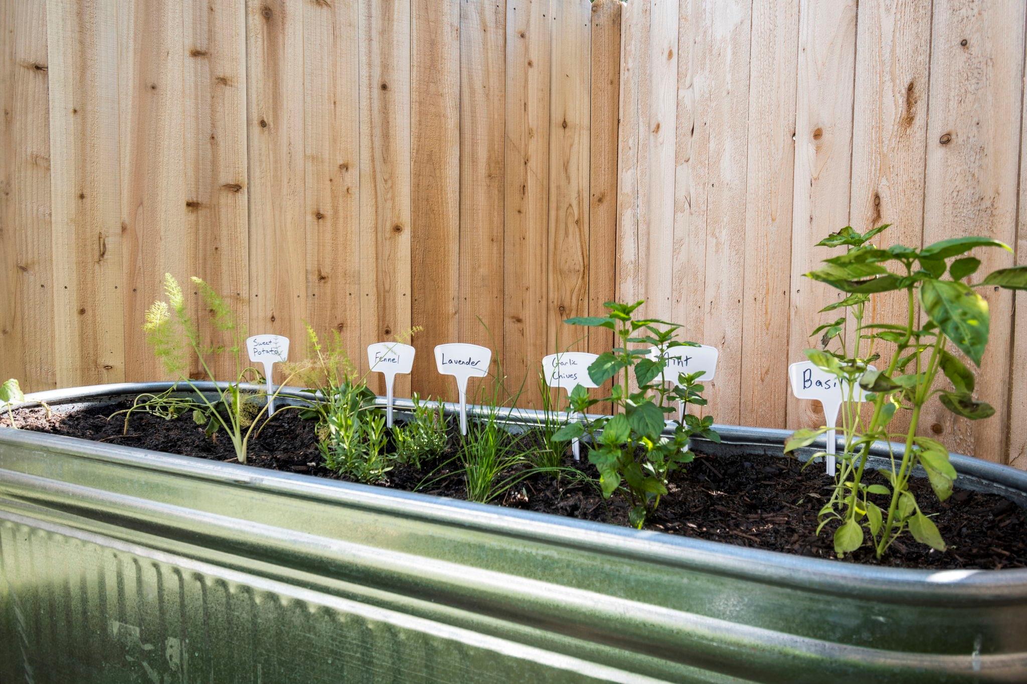 8016 Willow Street # B