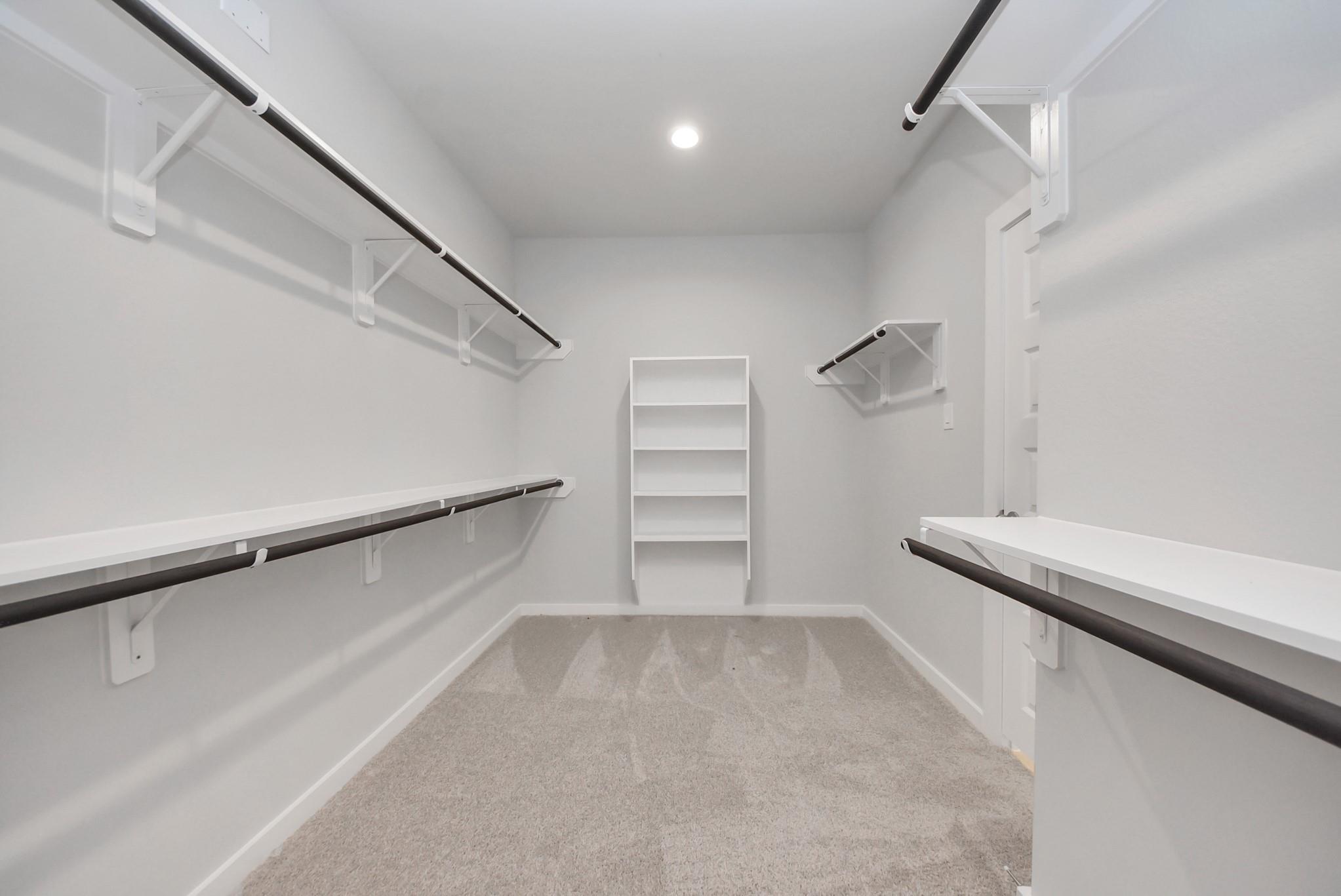15111 Statice Trail
