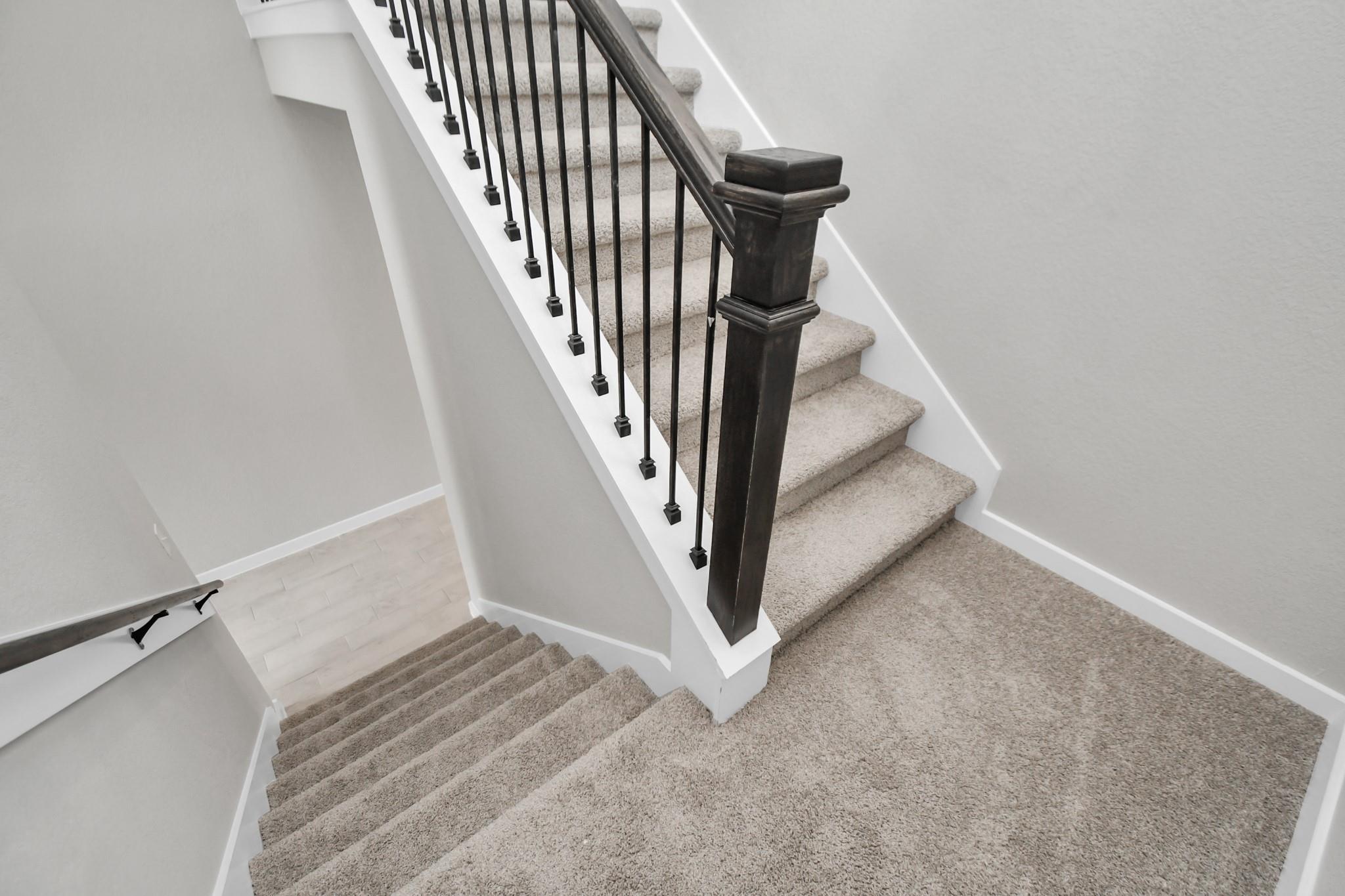 15111 Statice Trail