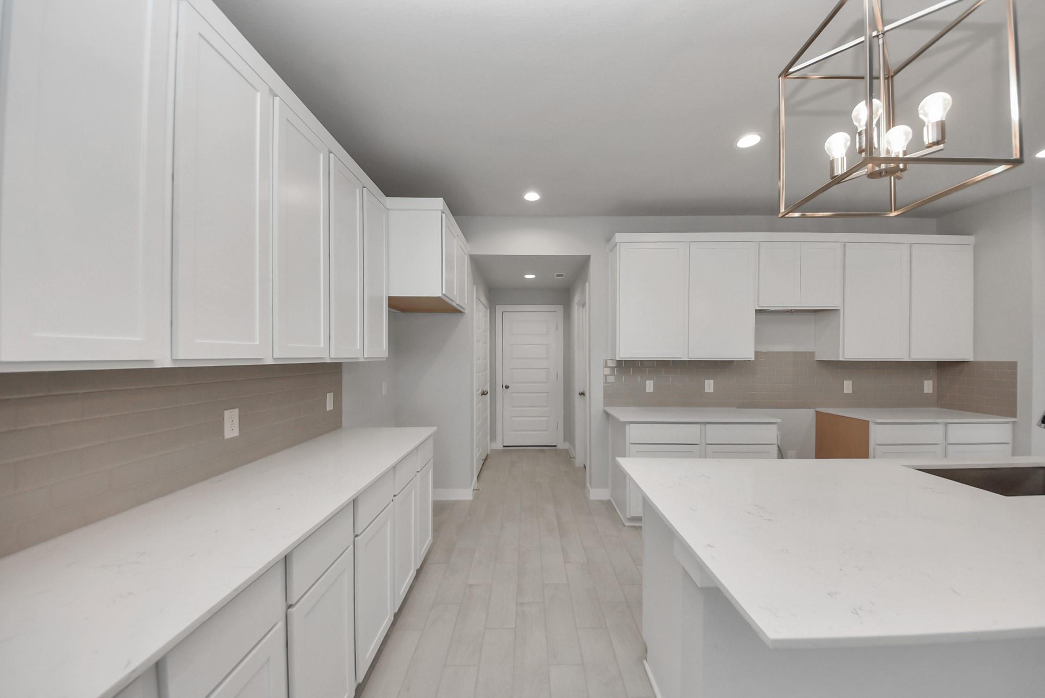 15111 Statice Trail