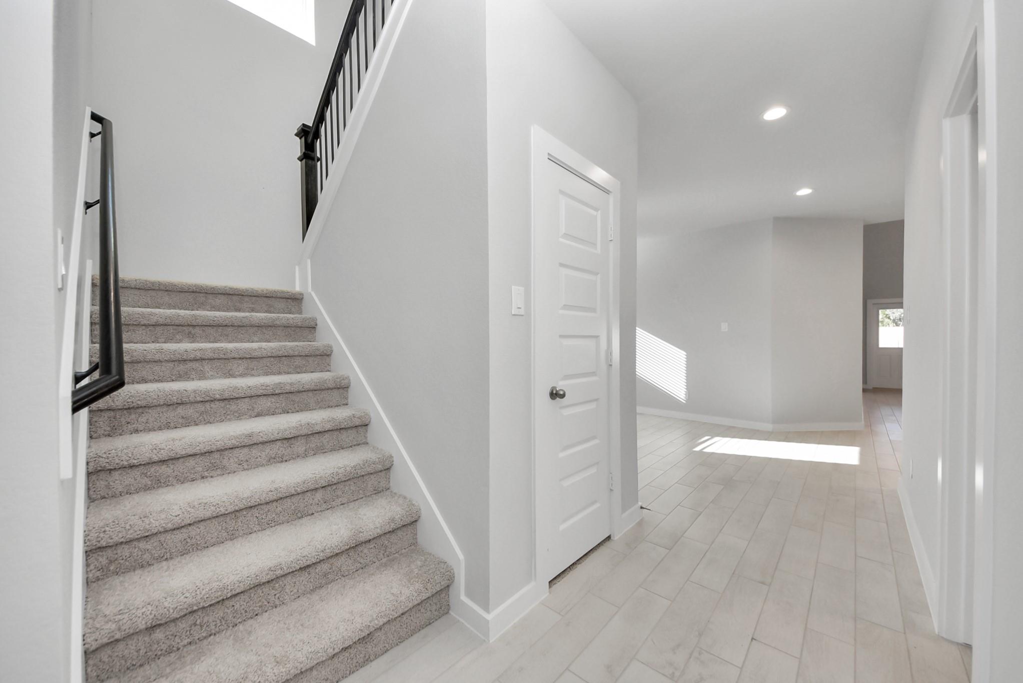 15111 Statice Trail