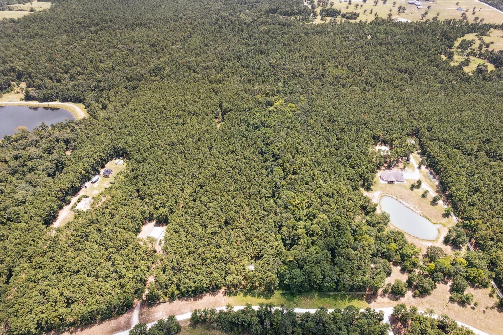 4970 Deep Forest Trail