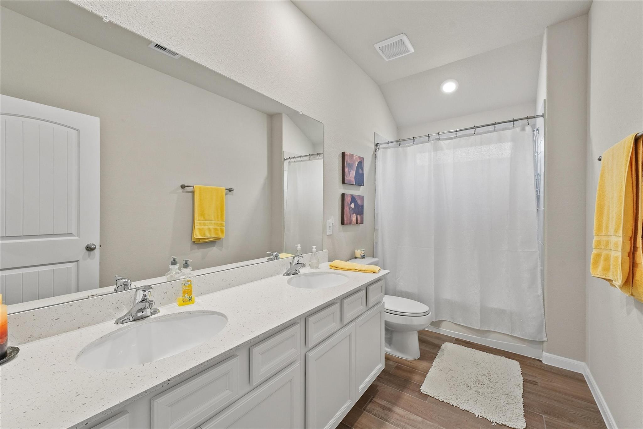 19115 Friesian Stallion Lane