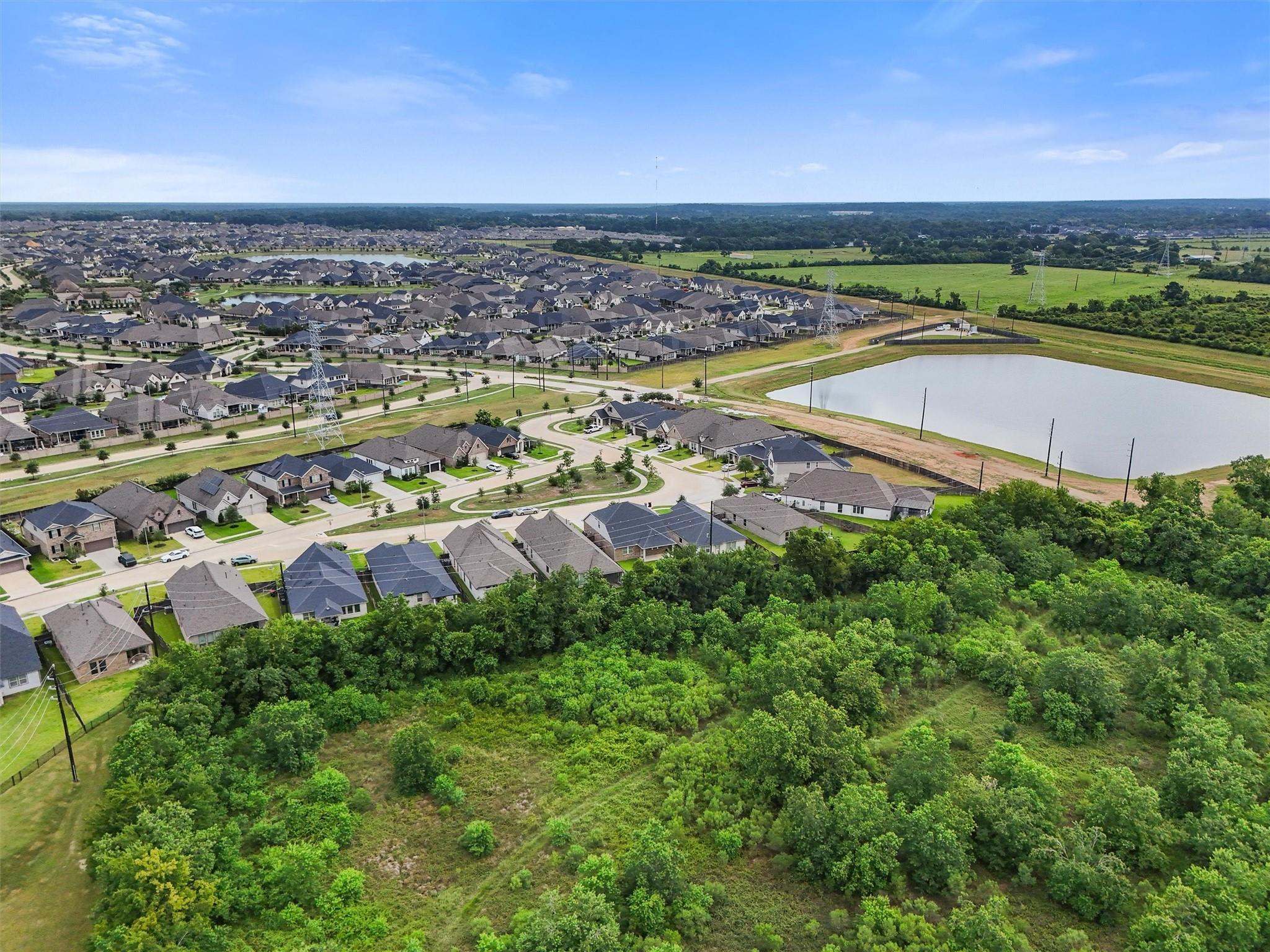 19115 Friesian Stallion Lane