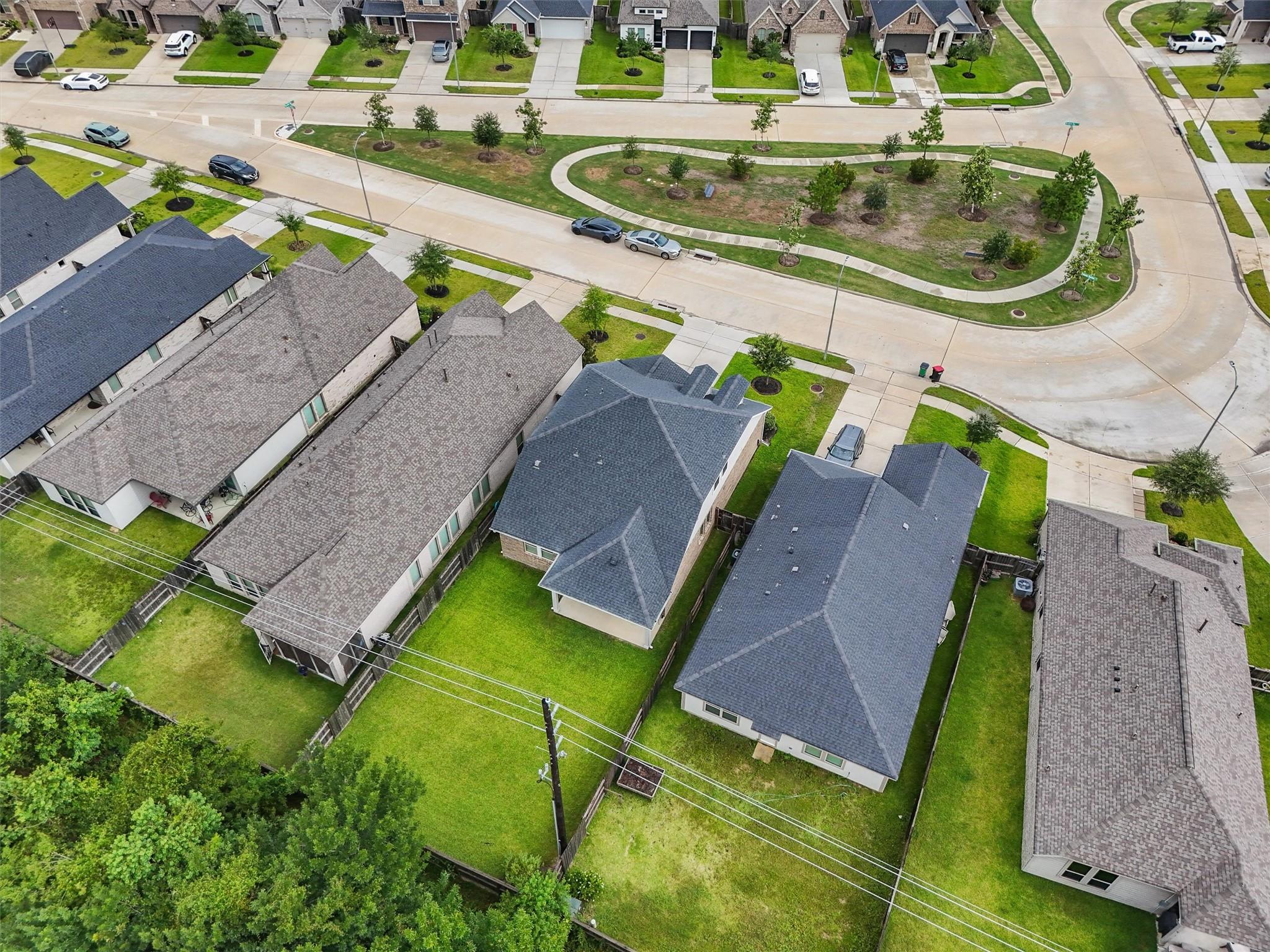 19115 Friesian Stallion Lane