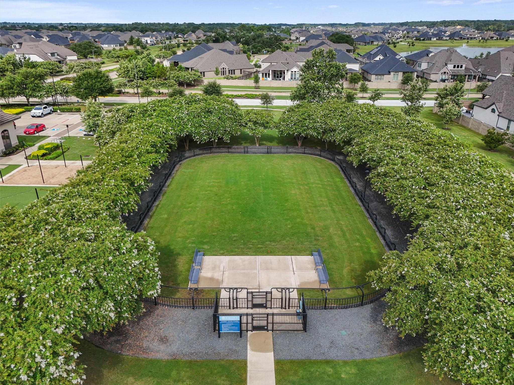 19115 Friesian Stallion Lane