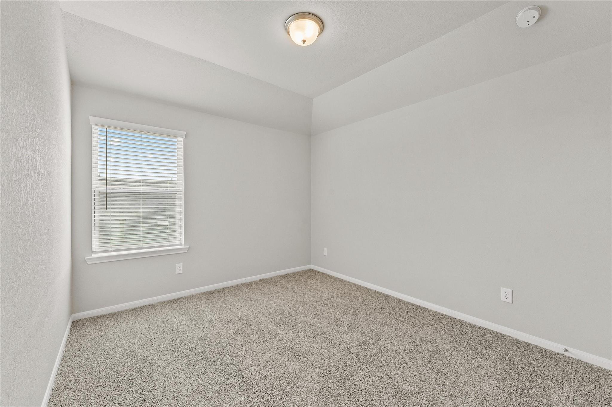 19115 Friesian Stallion Lane