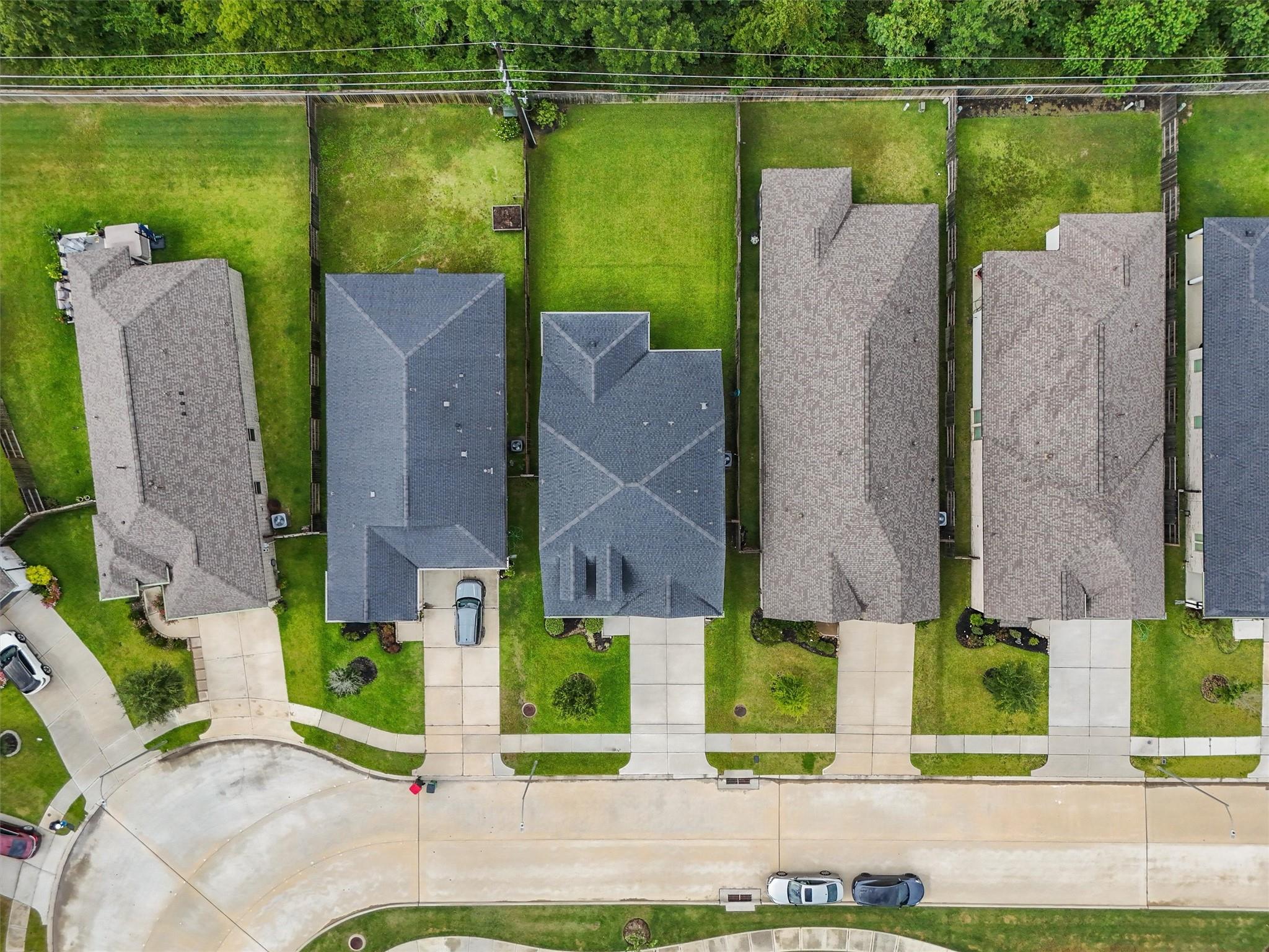 19115 Friesian Stallion Lane