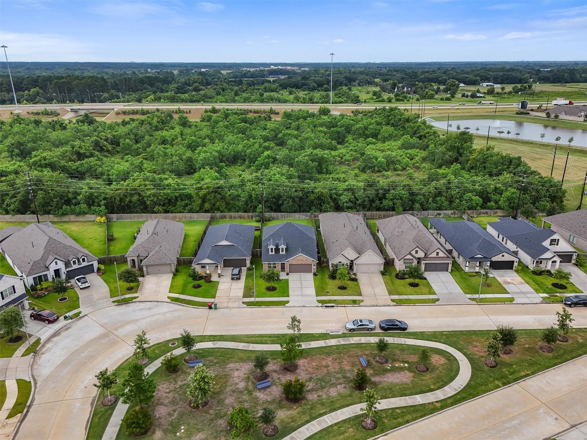 19115 Friesian Stallion Lane