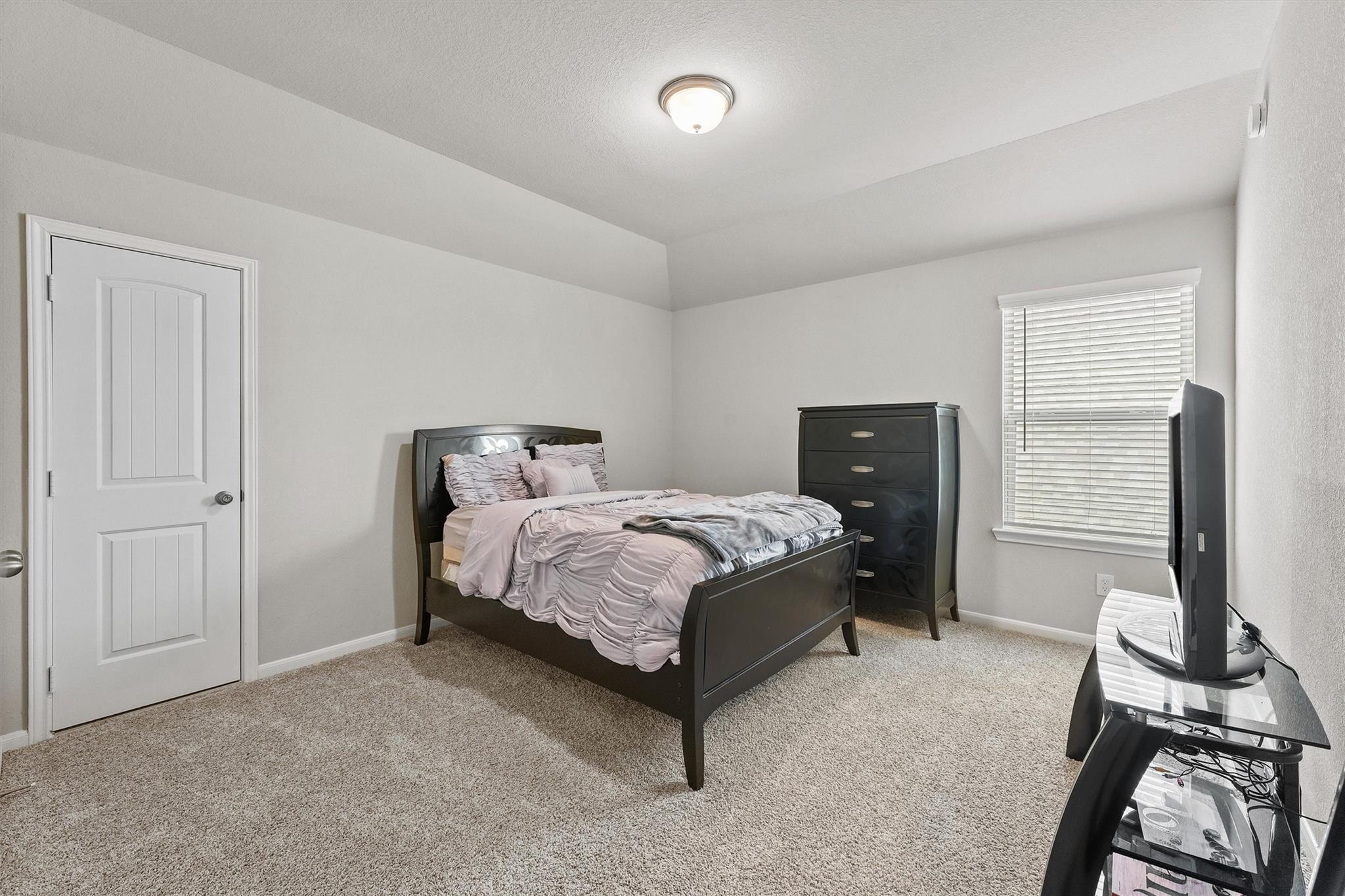 19115 Friesian Stallion Lane