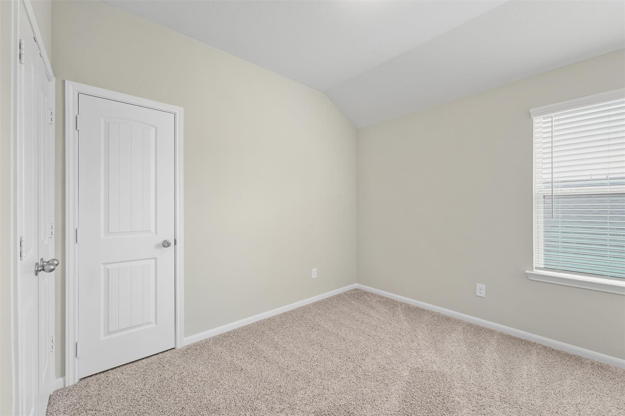 19115 Friesian Stallion Lane