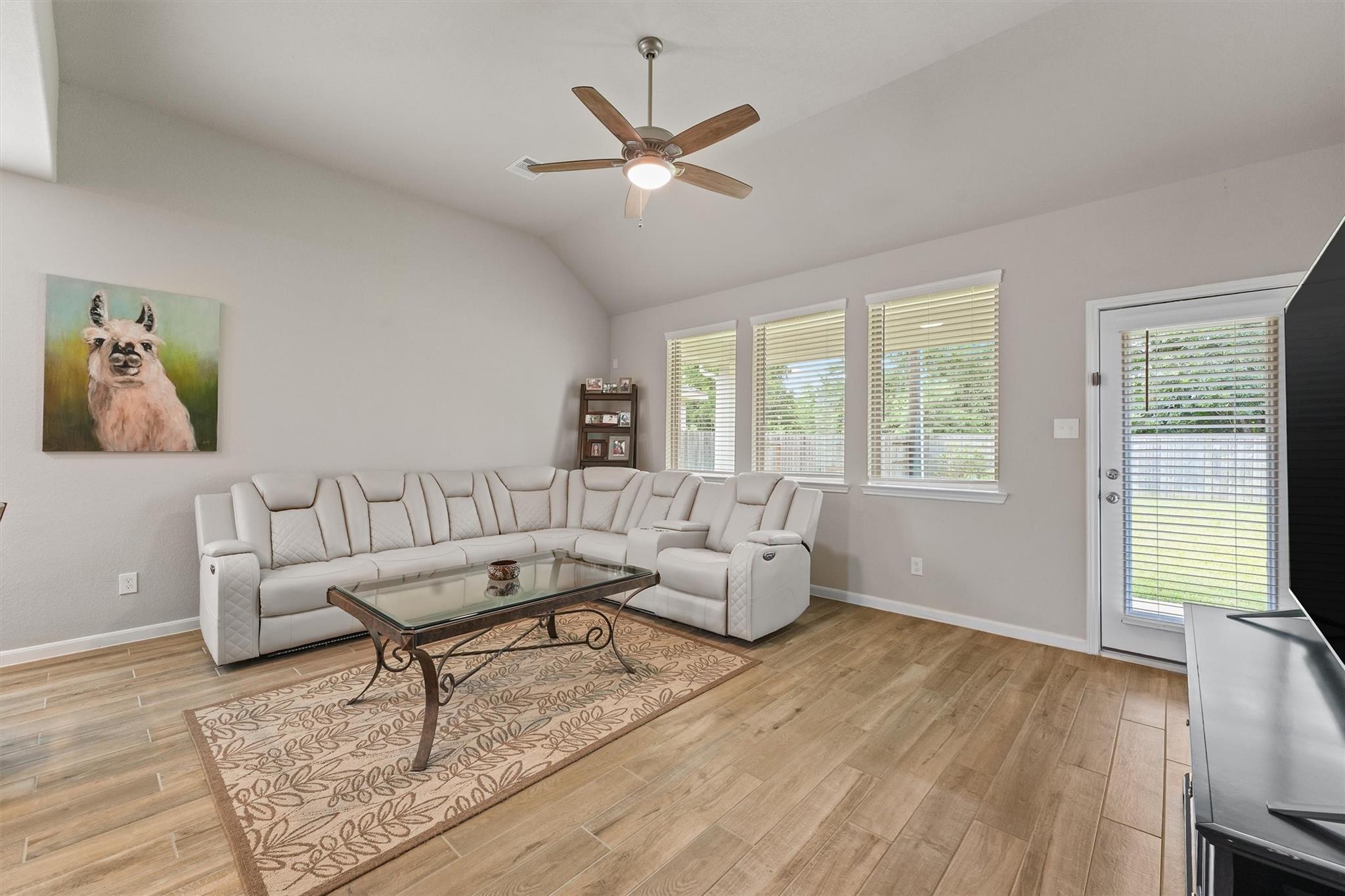 19115 Friesian Stallion Lane