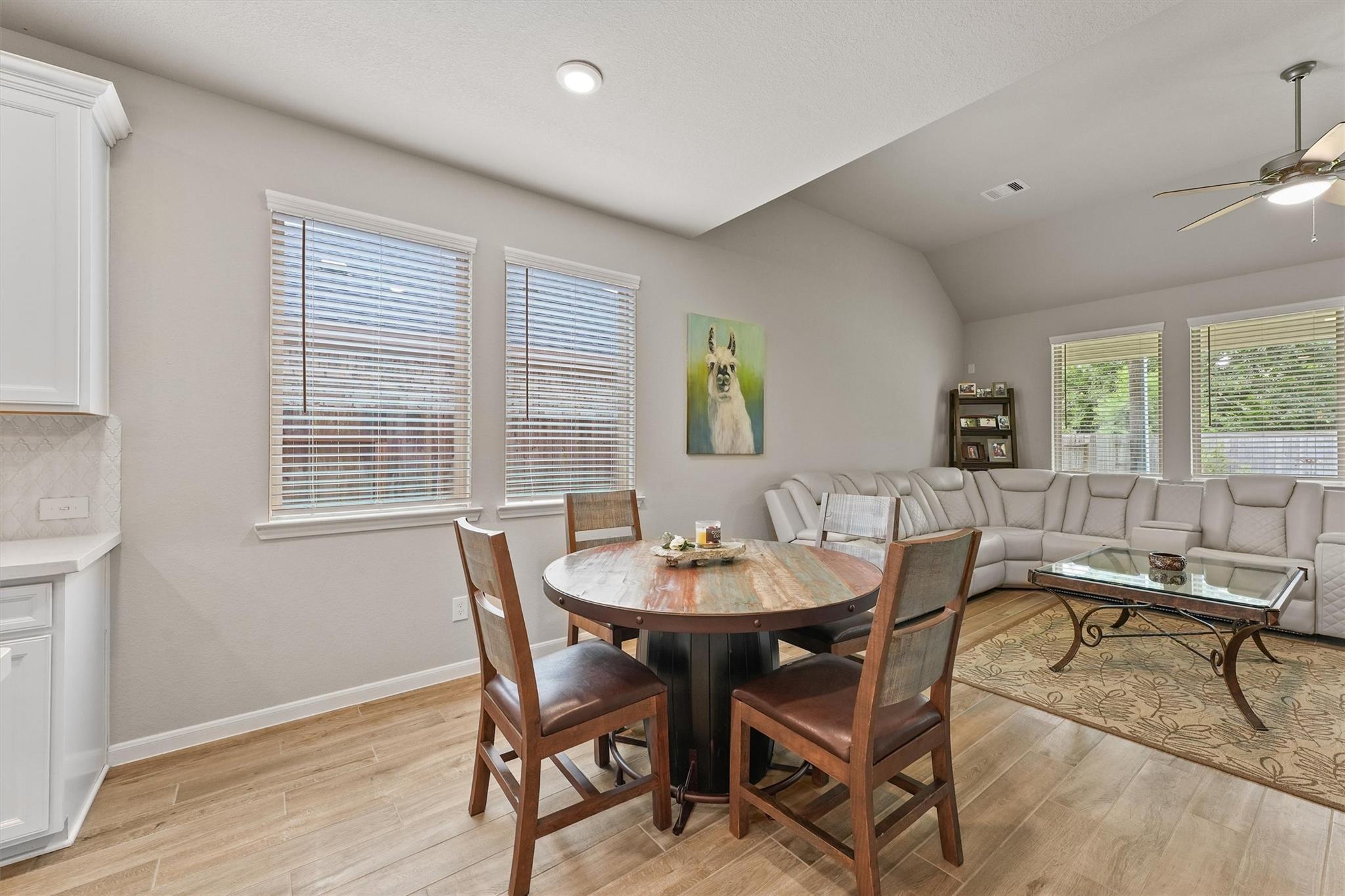 19115 Friesian Stallion Lane