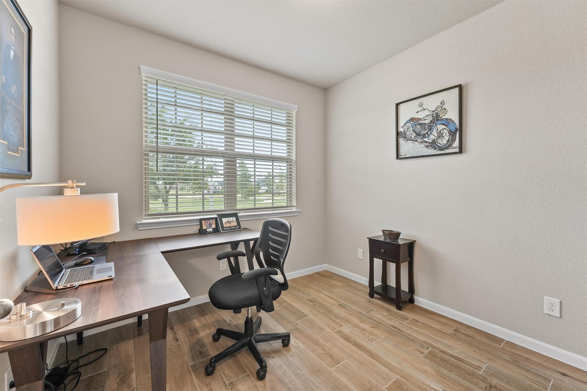 19115 Friesian Stallion Lane