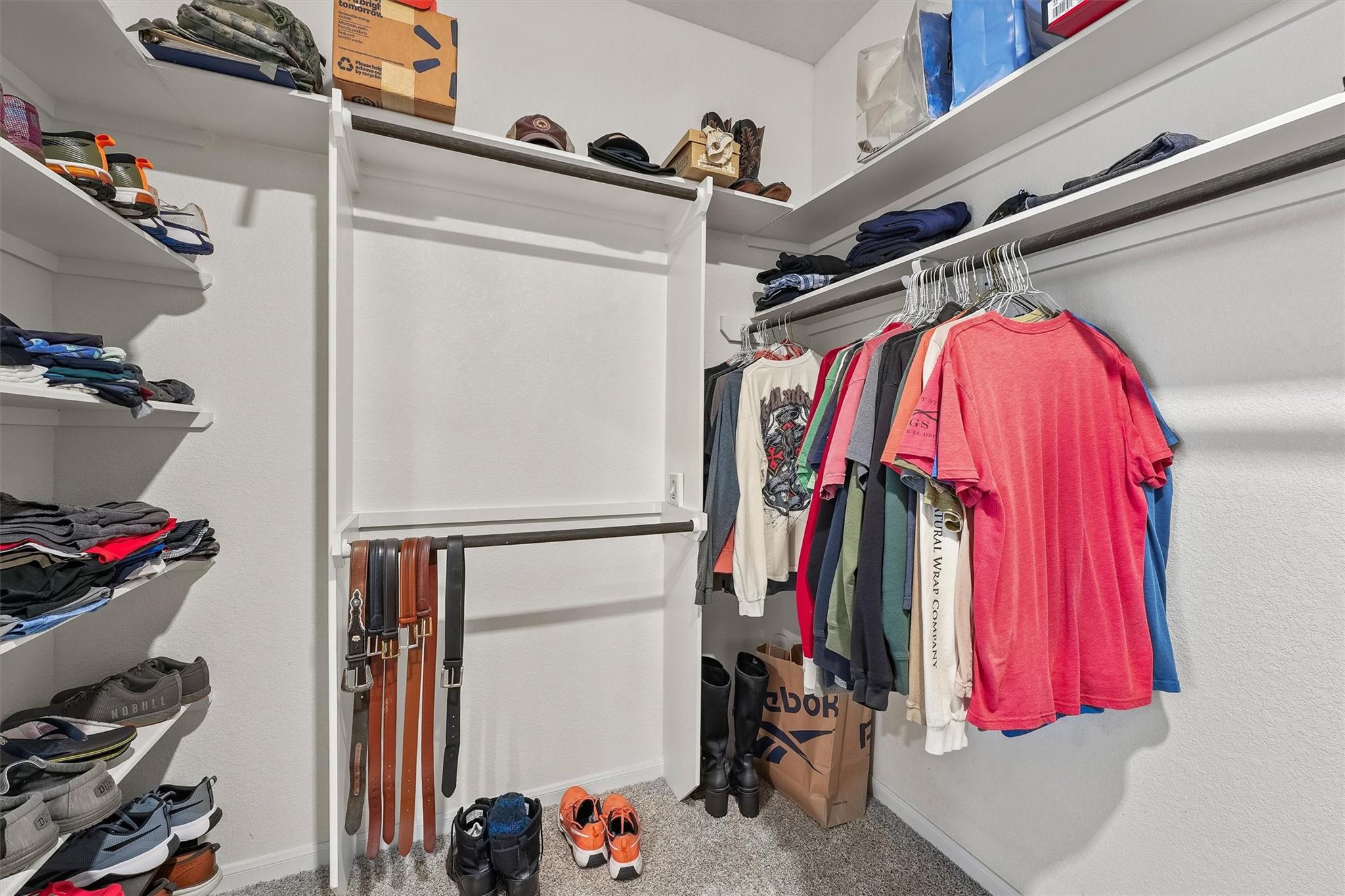 19115 Friesian Stallion Lane