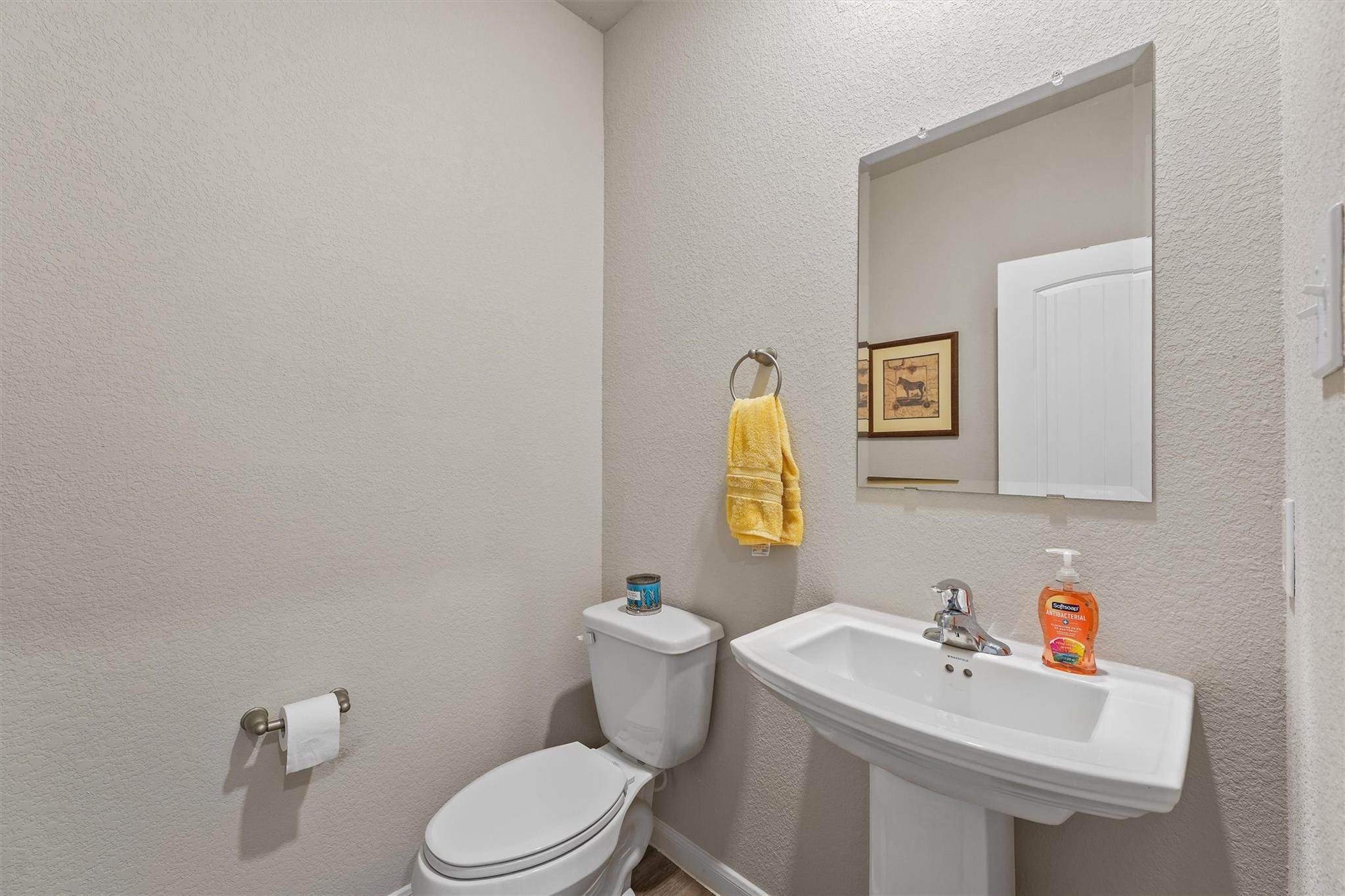 19115 Friesian Stallion Lane