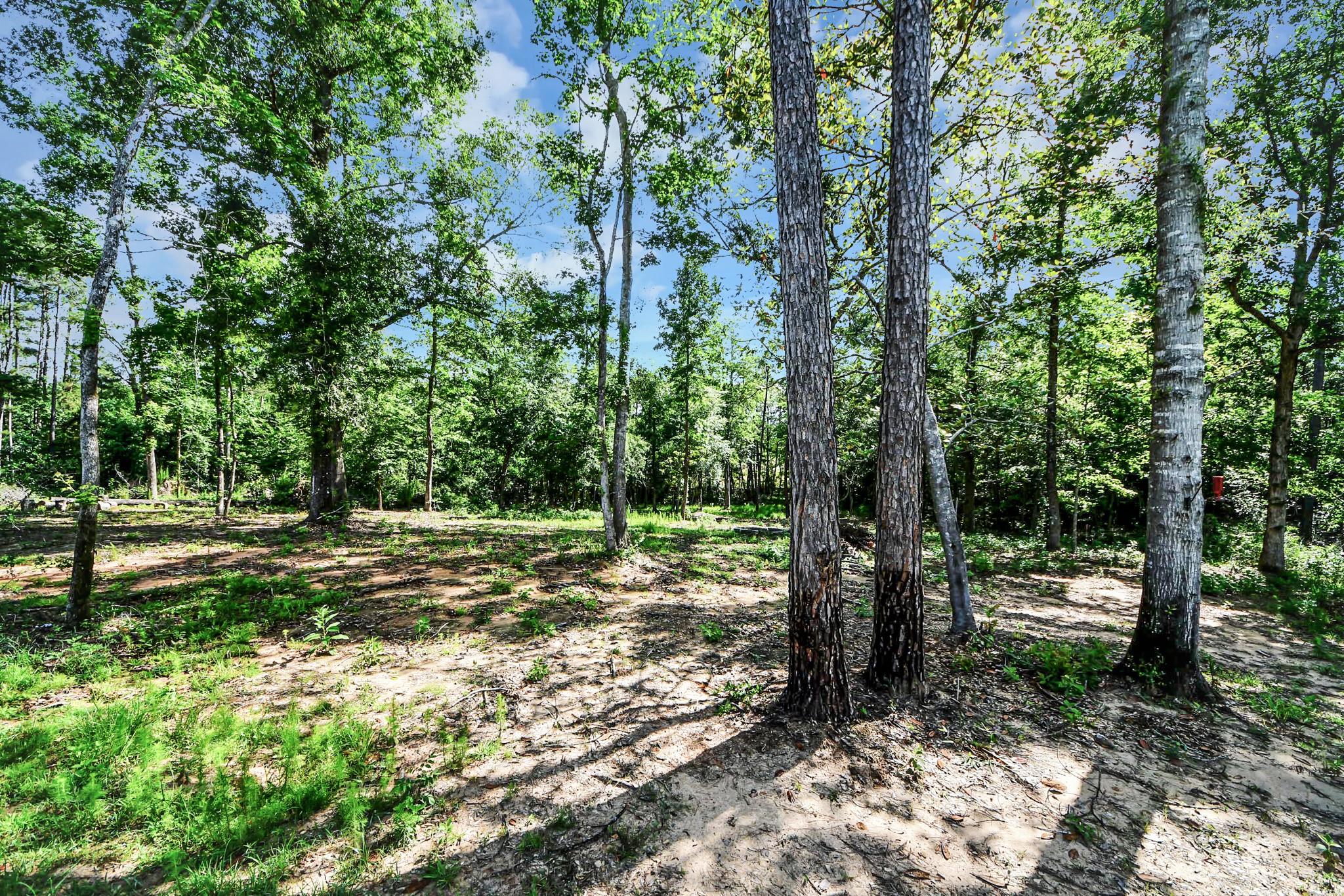 11779 Oakwood Ranch Drive