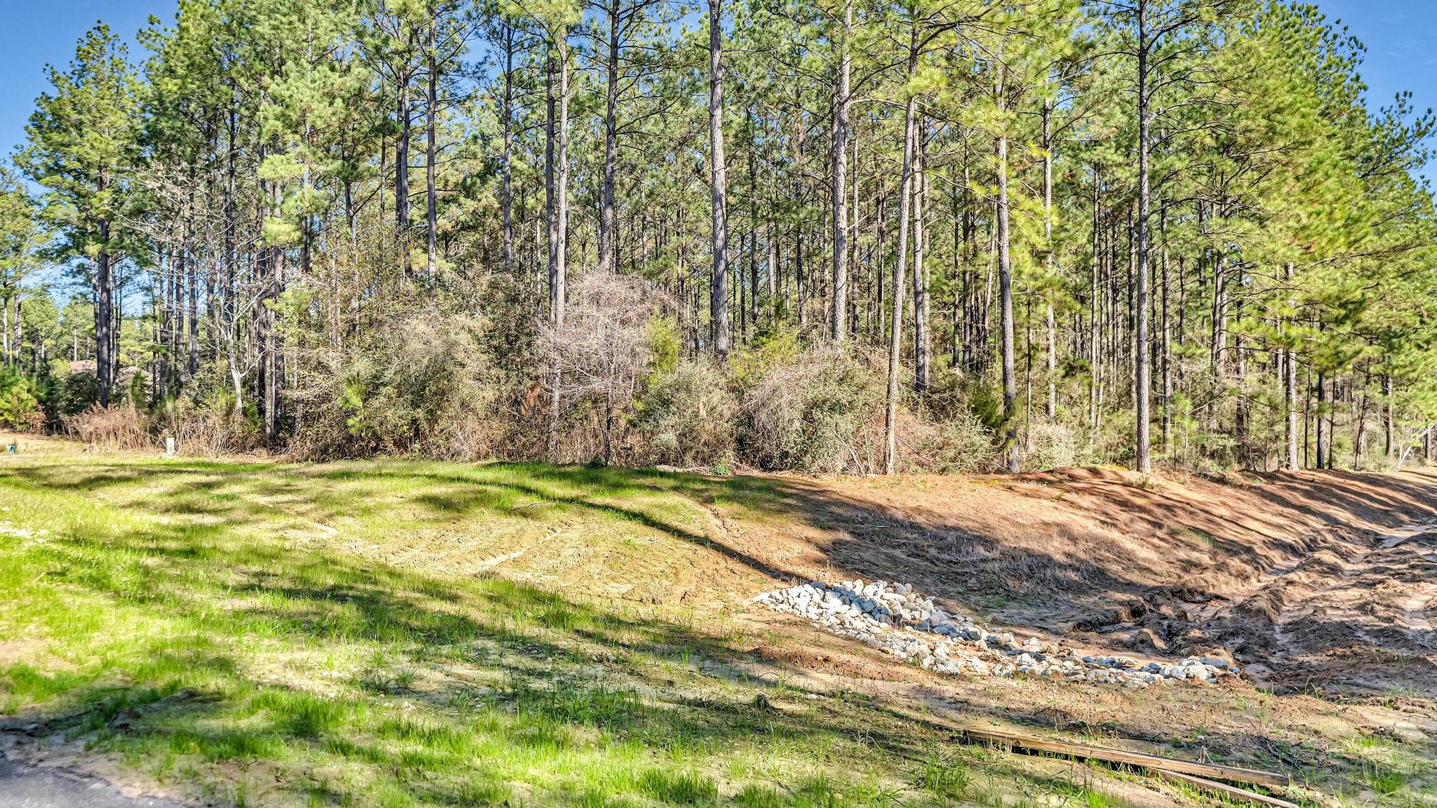 10999 Ruger Road