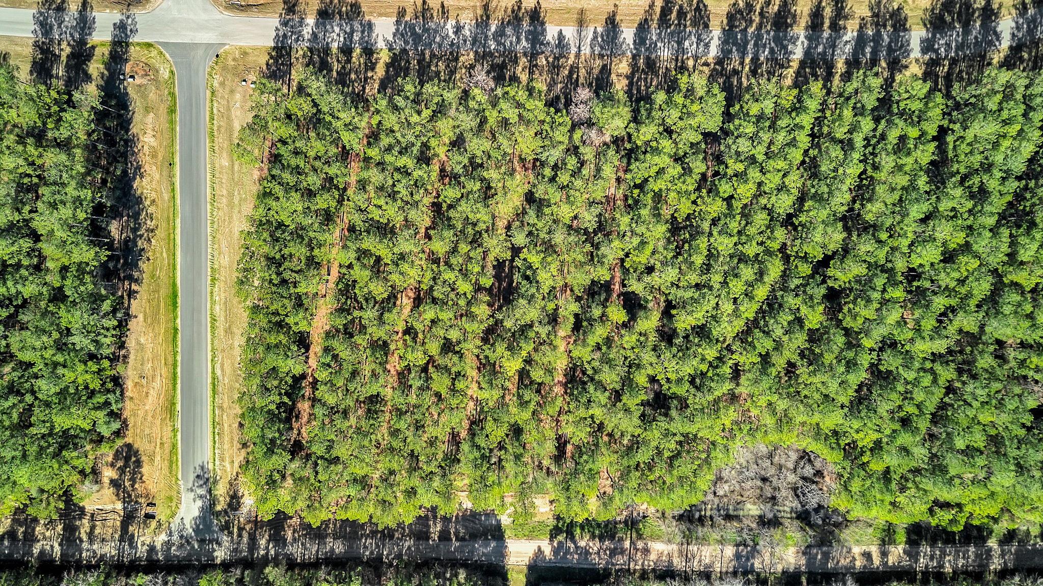 10999 Ruger Road
