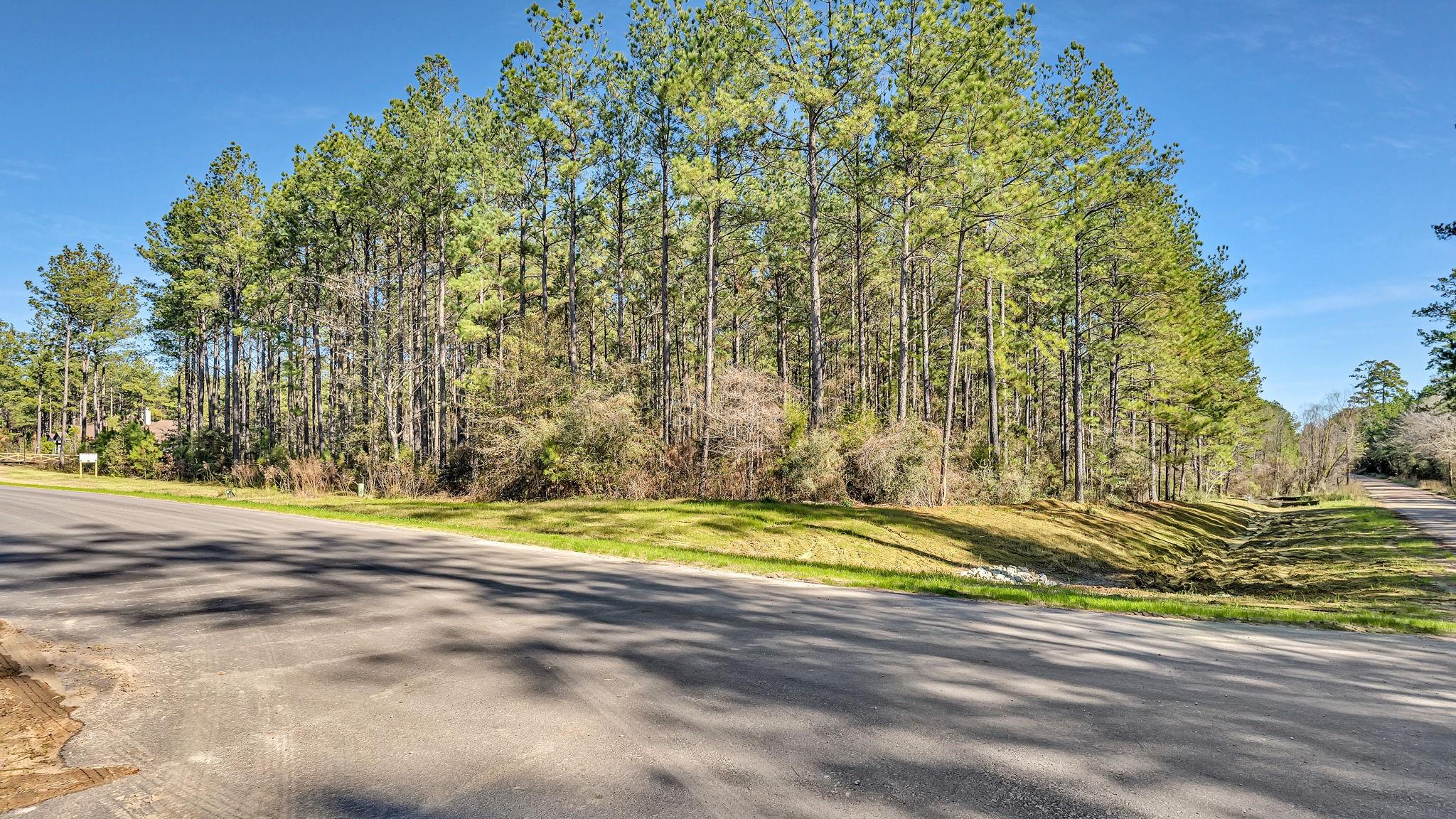 10999 Ruger Road