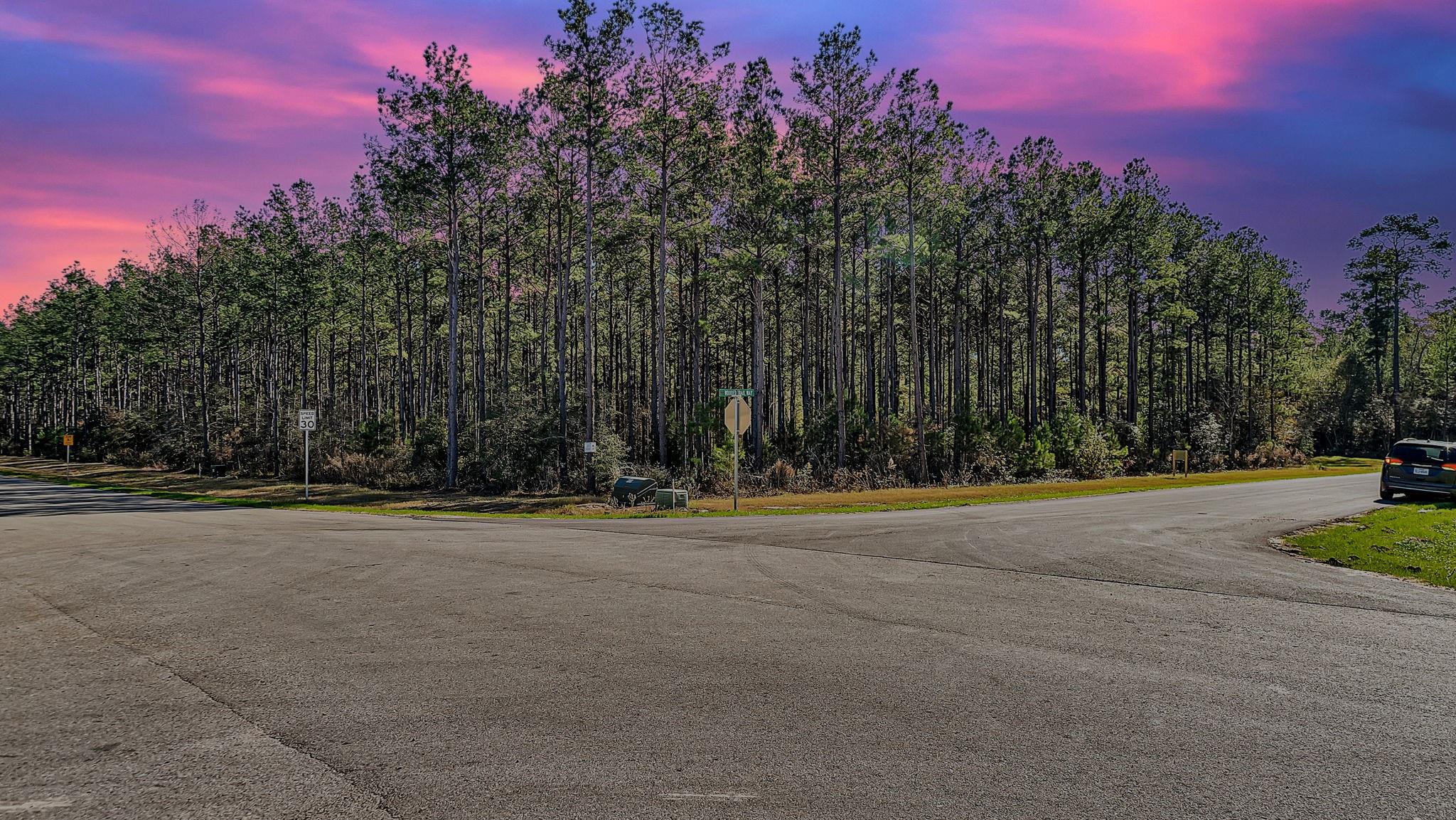 Wooded roadside intersection beneath a pink and purple dusk sky.