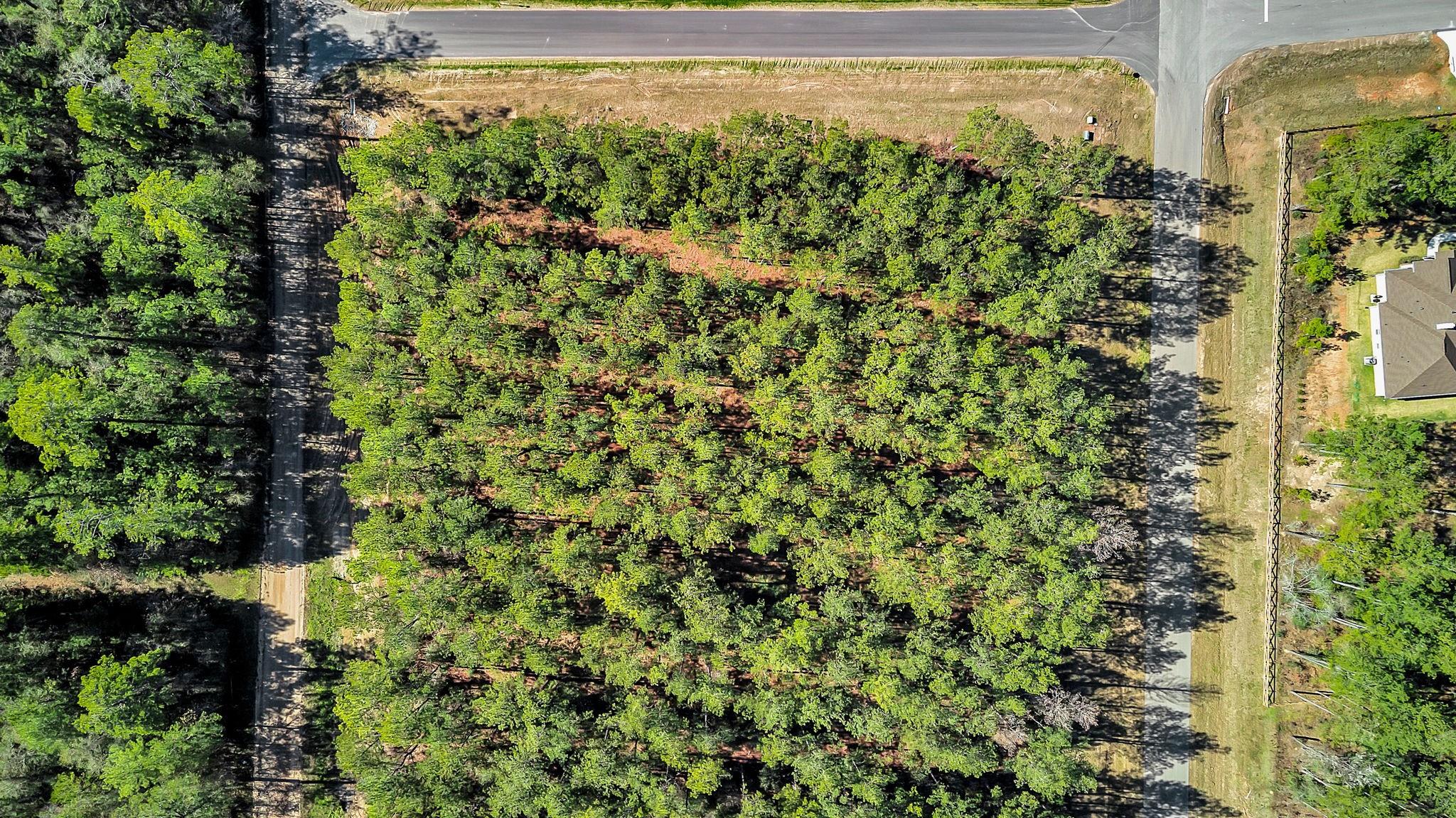 10999 Ruger Road