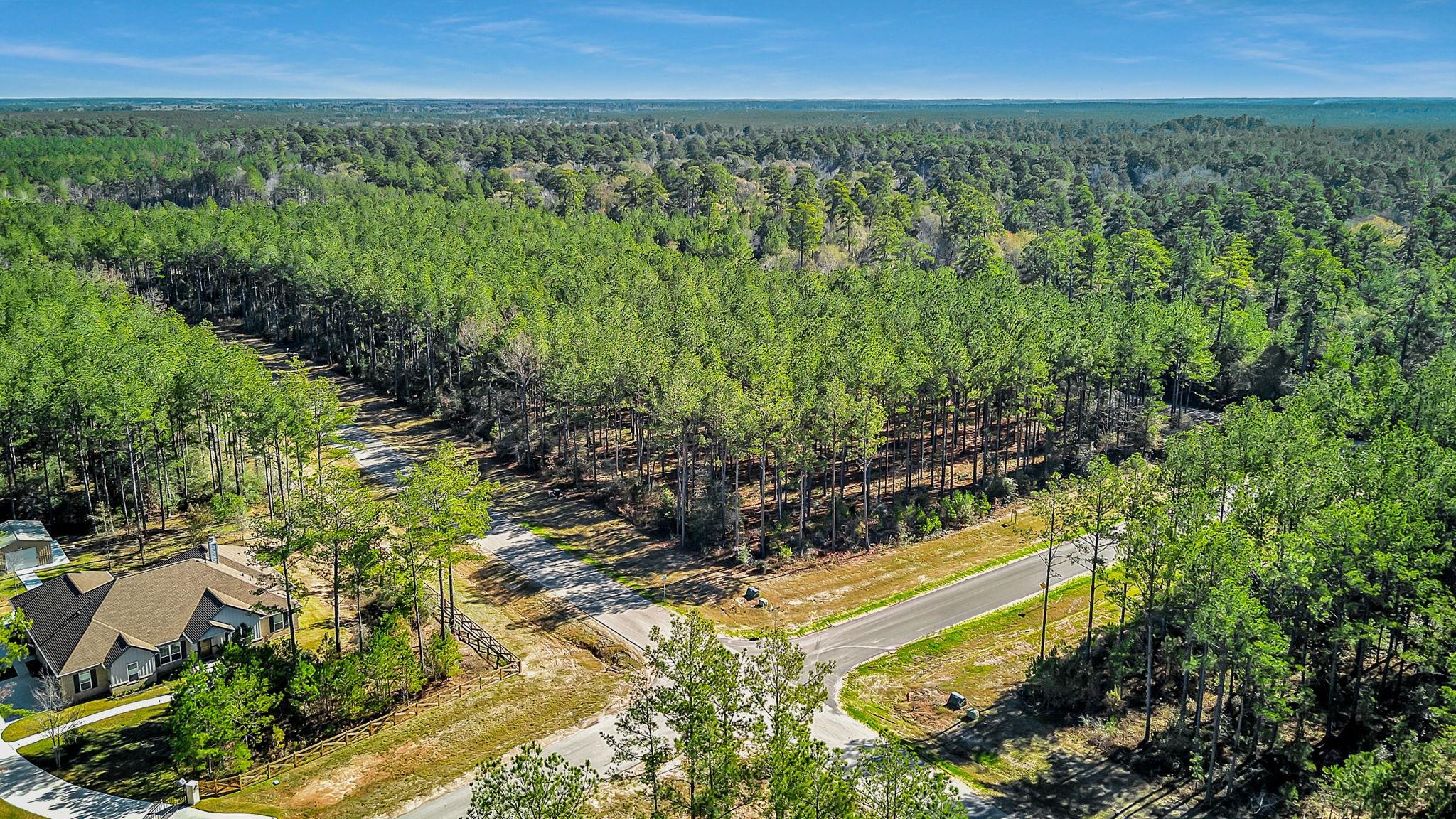10999 Ruger Road