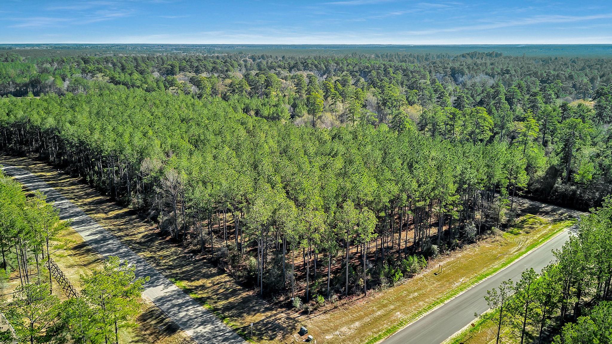 10999 Ruger Road