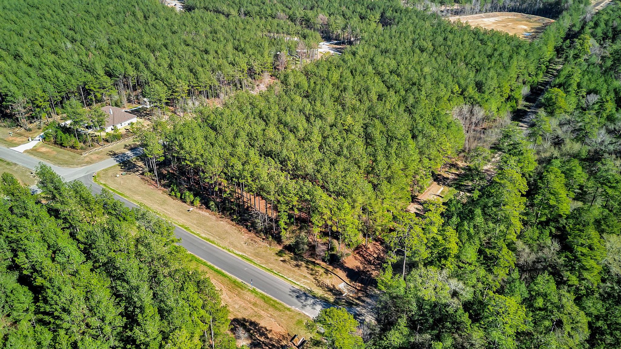 10999 Ruger Road