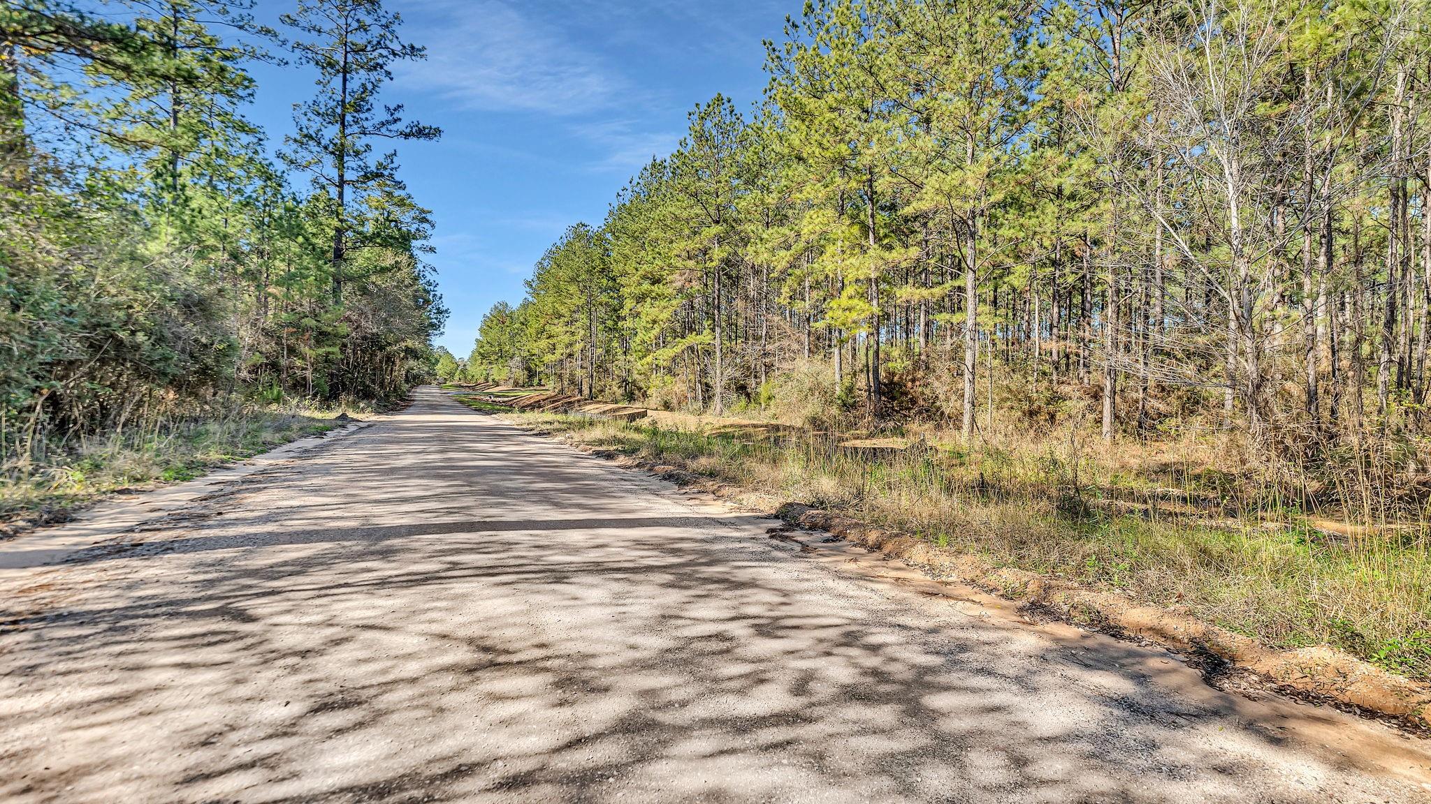 10999 Ruger Road
