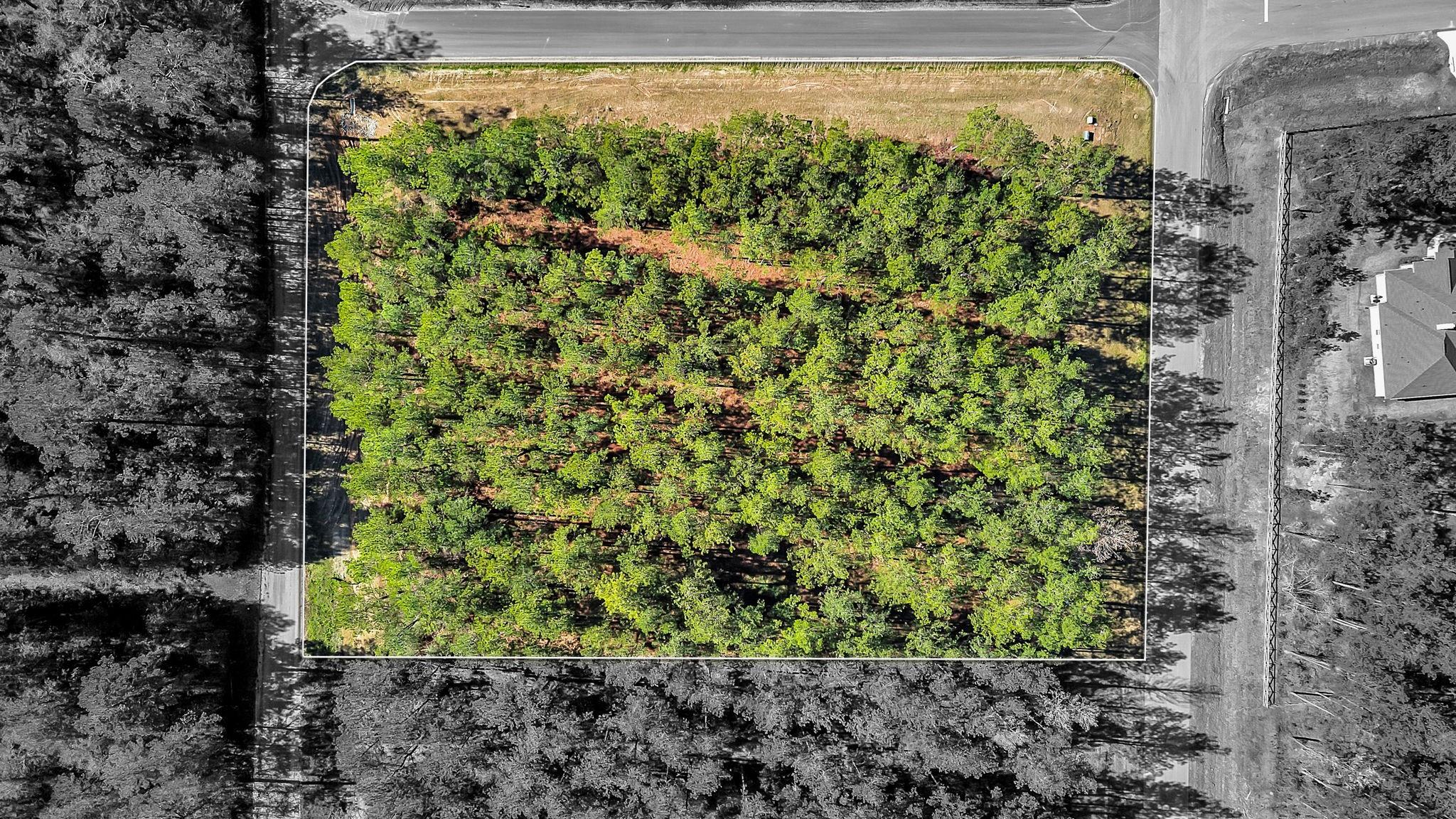 10999 Ruger Road