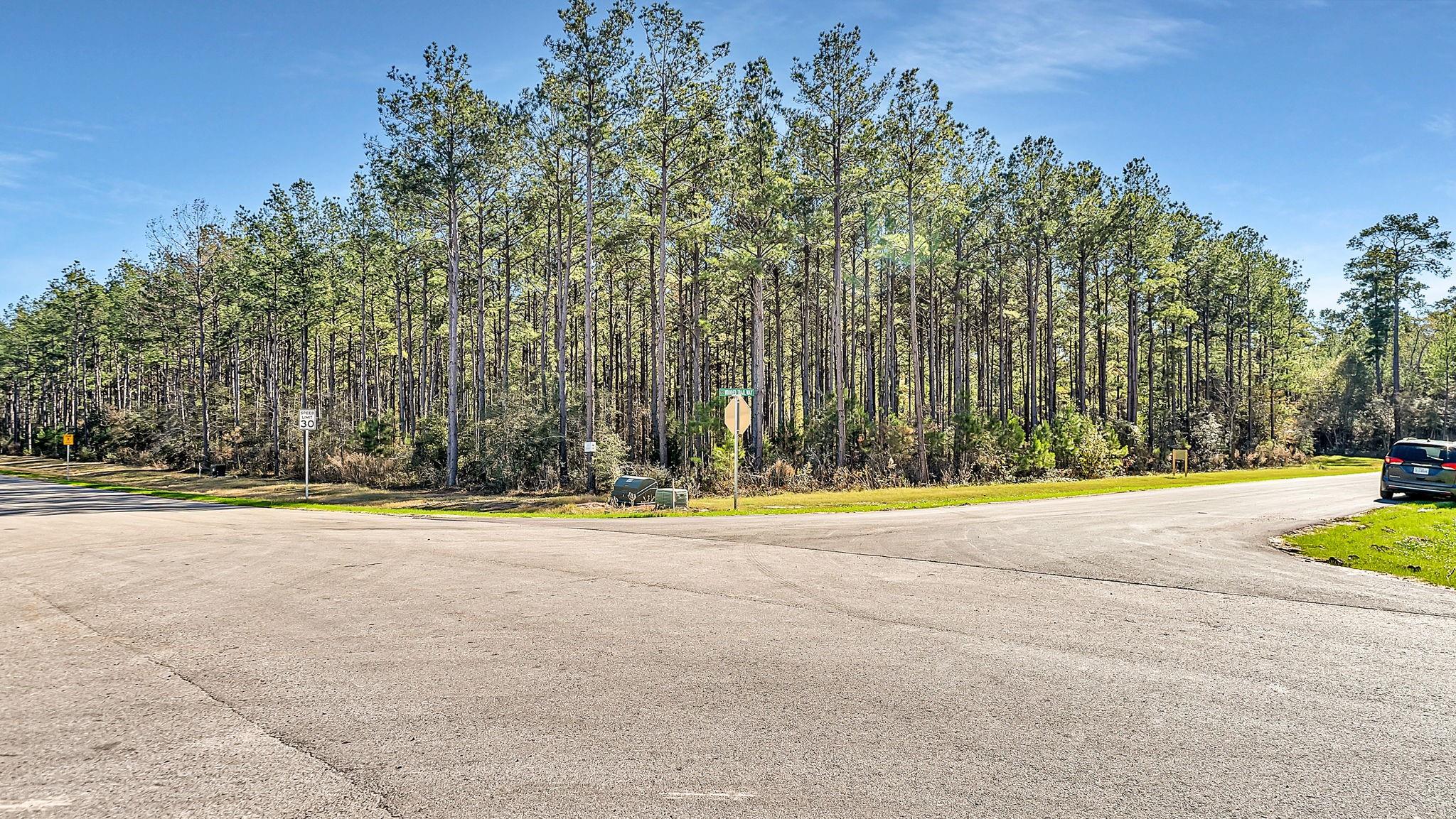 10999 Ruger Road