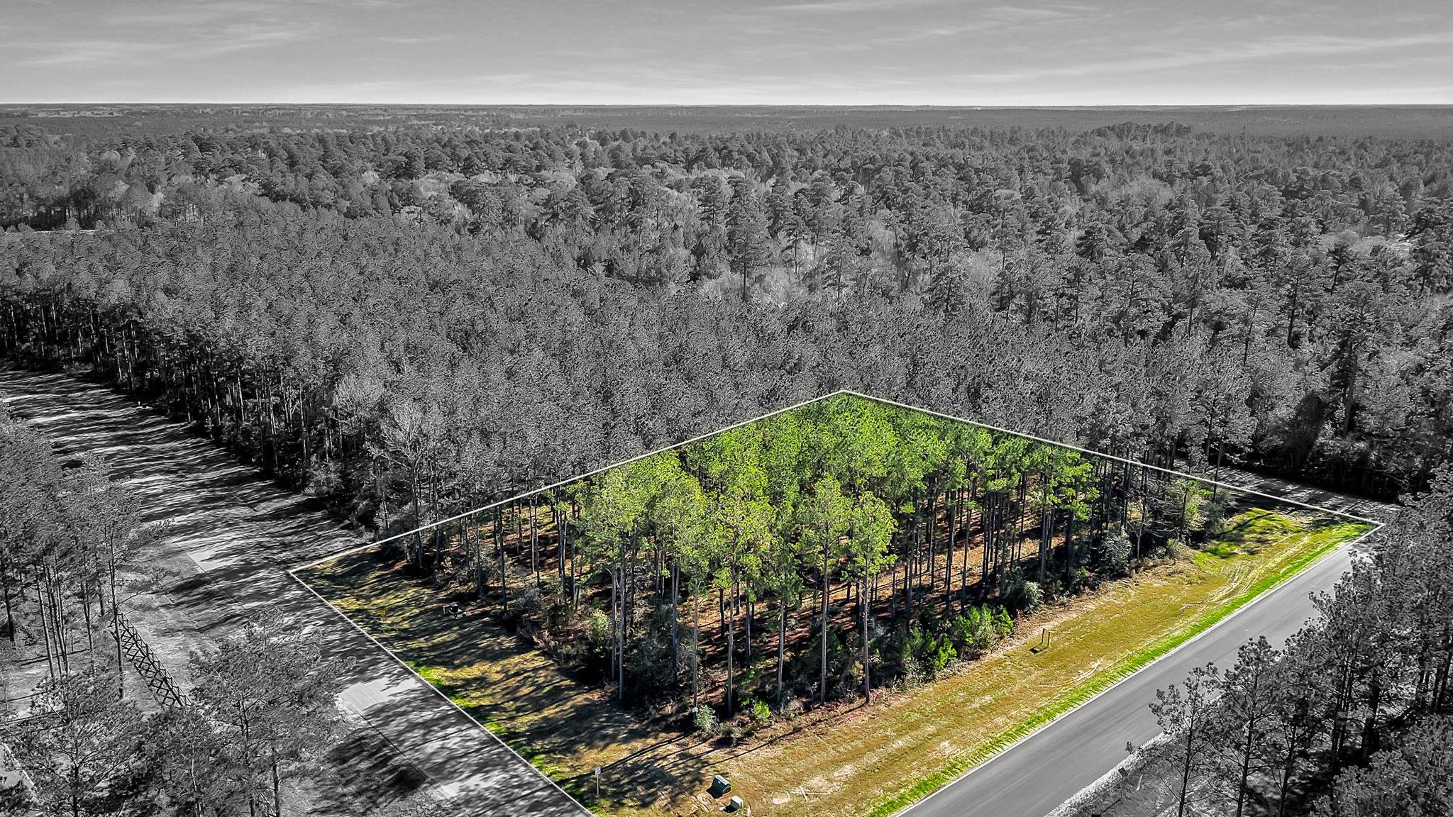 10999 Ruger Road