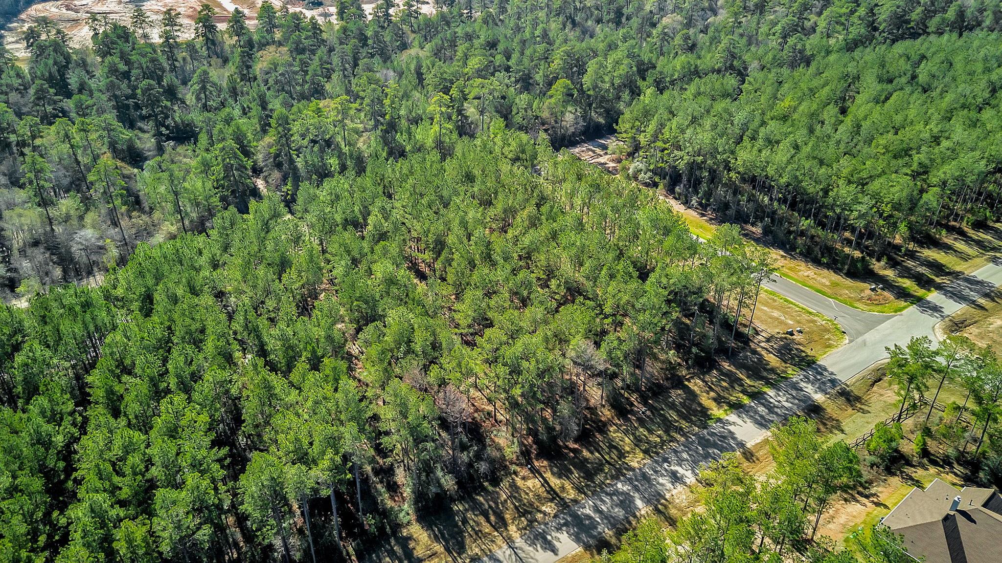10999 Ruger Road