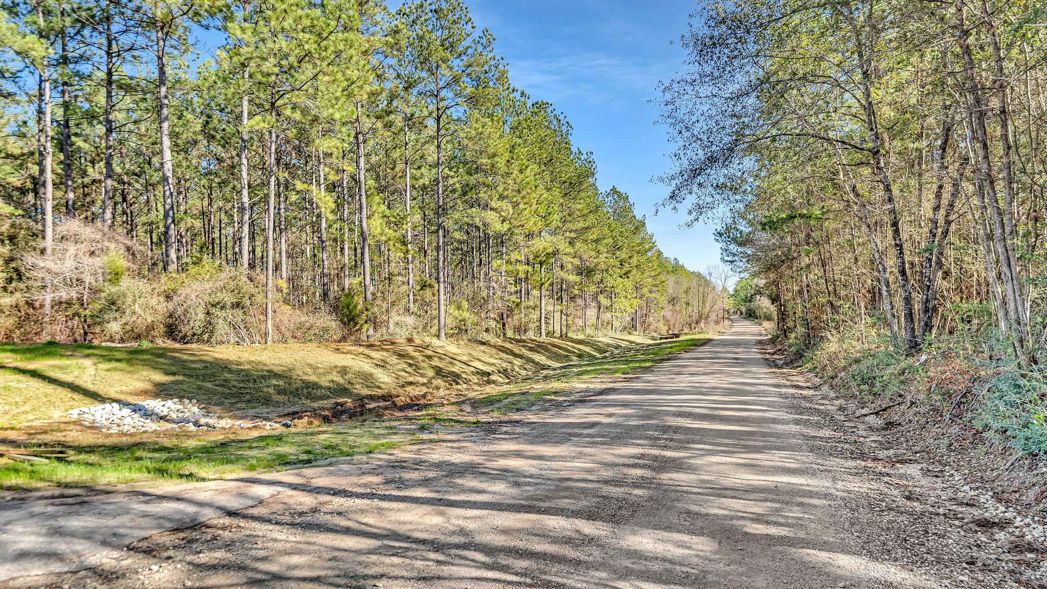 10999 Ruger Road