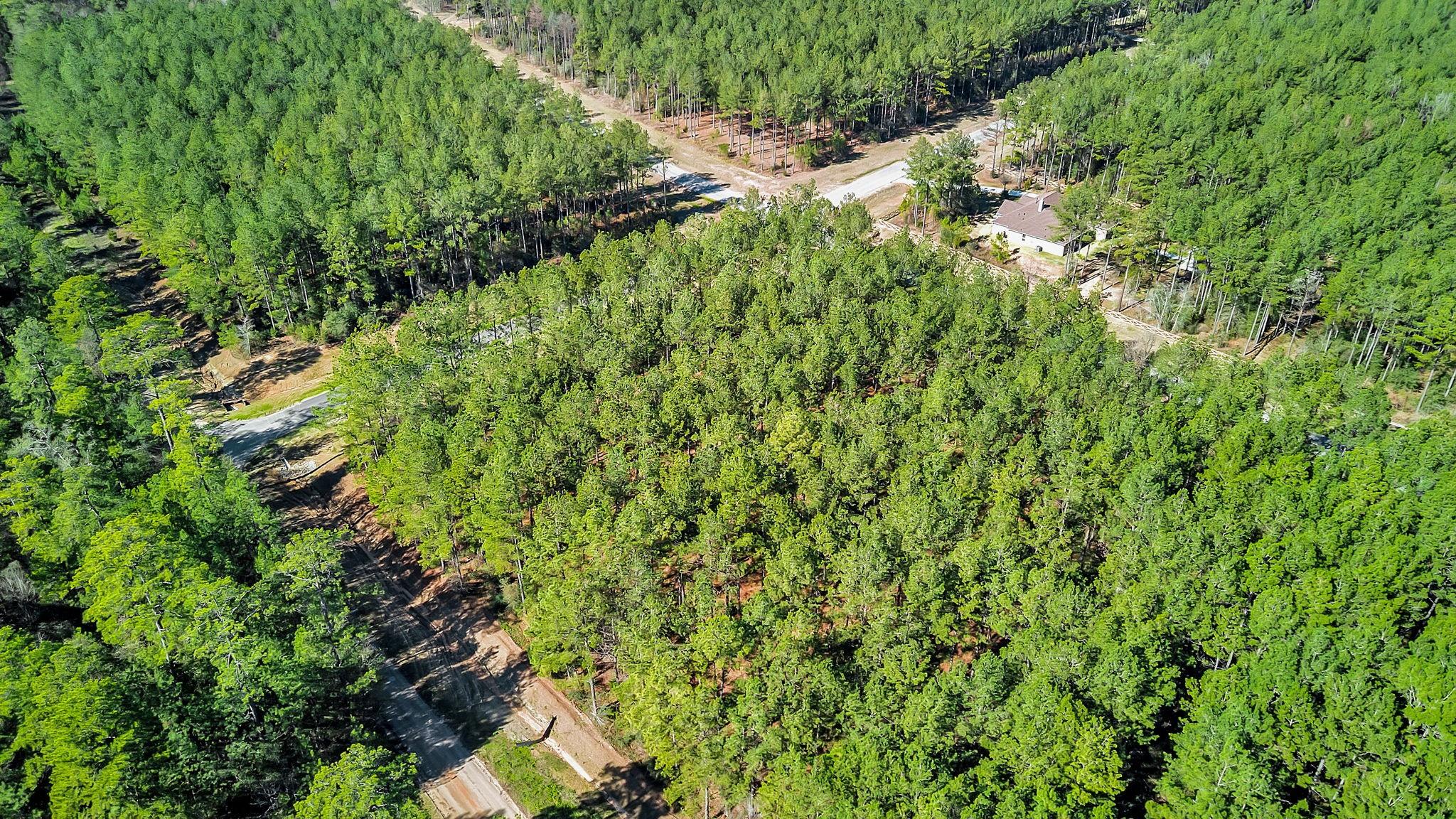10999 Ruger Road