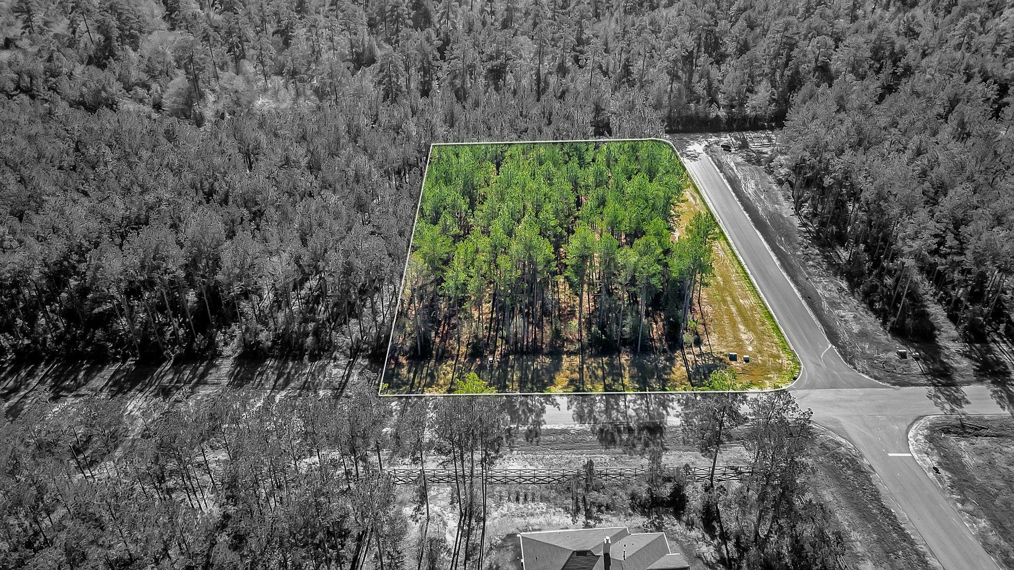 10999 Ruger Road